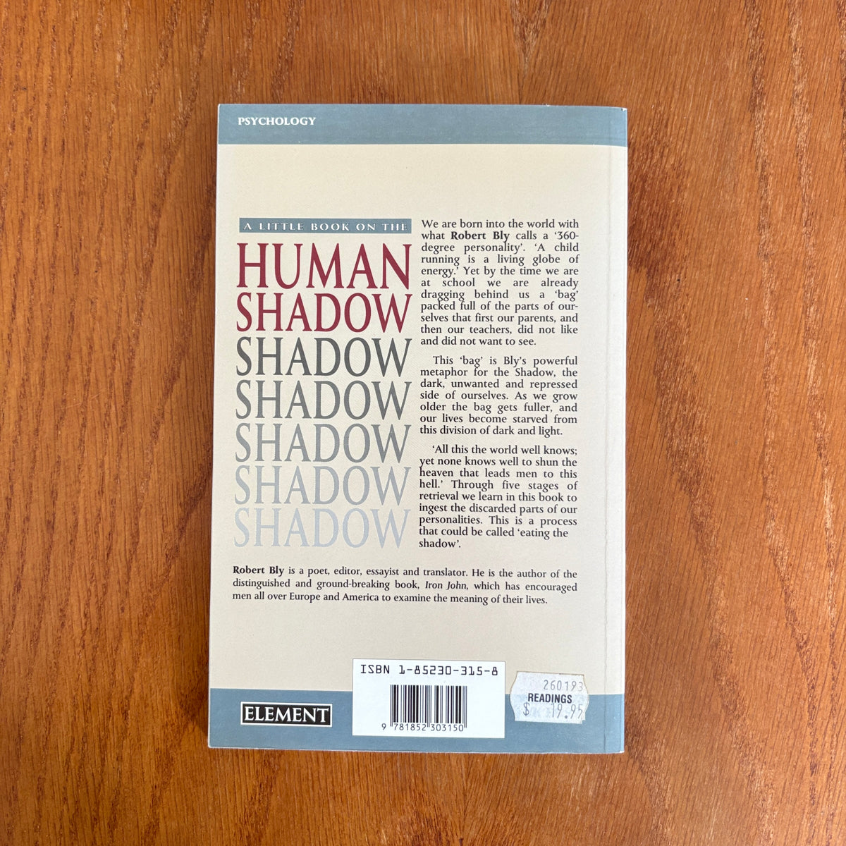 A Little Book on the Human Shadow - Robert Bly
