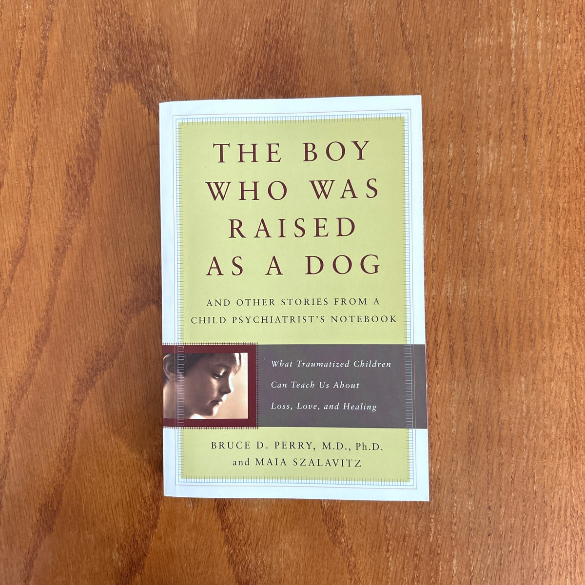 The Boy Who Was Raised as a Dog: And Other Stories from a Child Psychiatrist’s Notebook - Bruce D. Perry & Maia Szalavitz