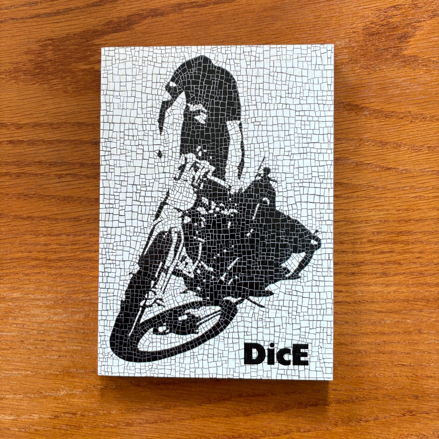 DicE 40