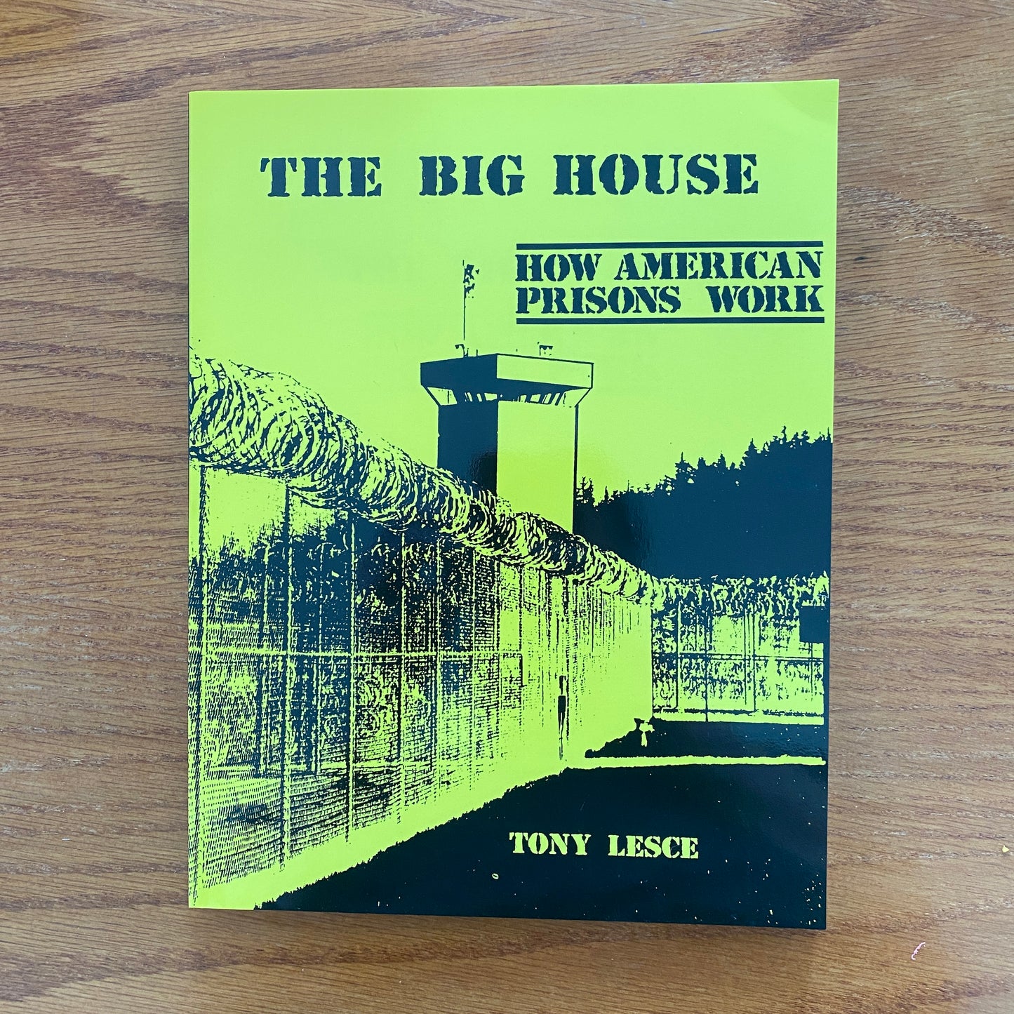 Big House: How American Prisons Work - Tony Lesce