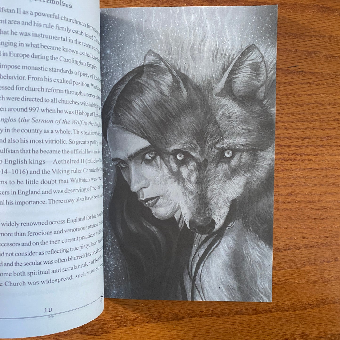 Werewolves: A Field Guide to Shapeshifters, Lycanthropes, & Man-Beasts - Dr Bob Curran