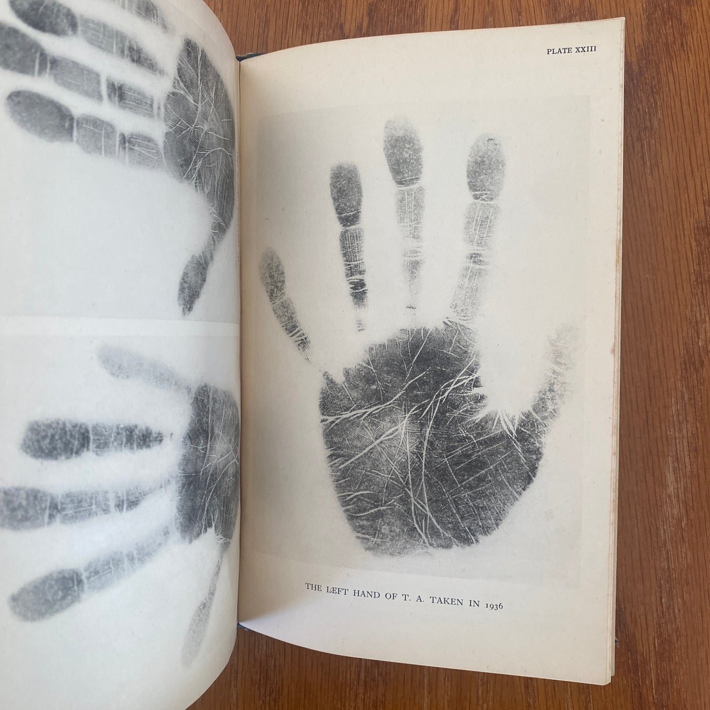 The Human Hand - Dr. Charlotte Wolff