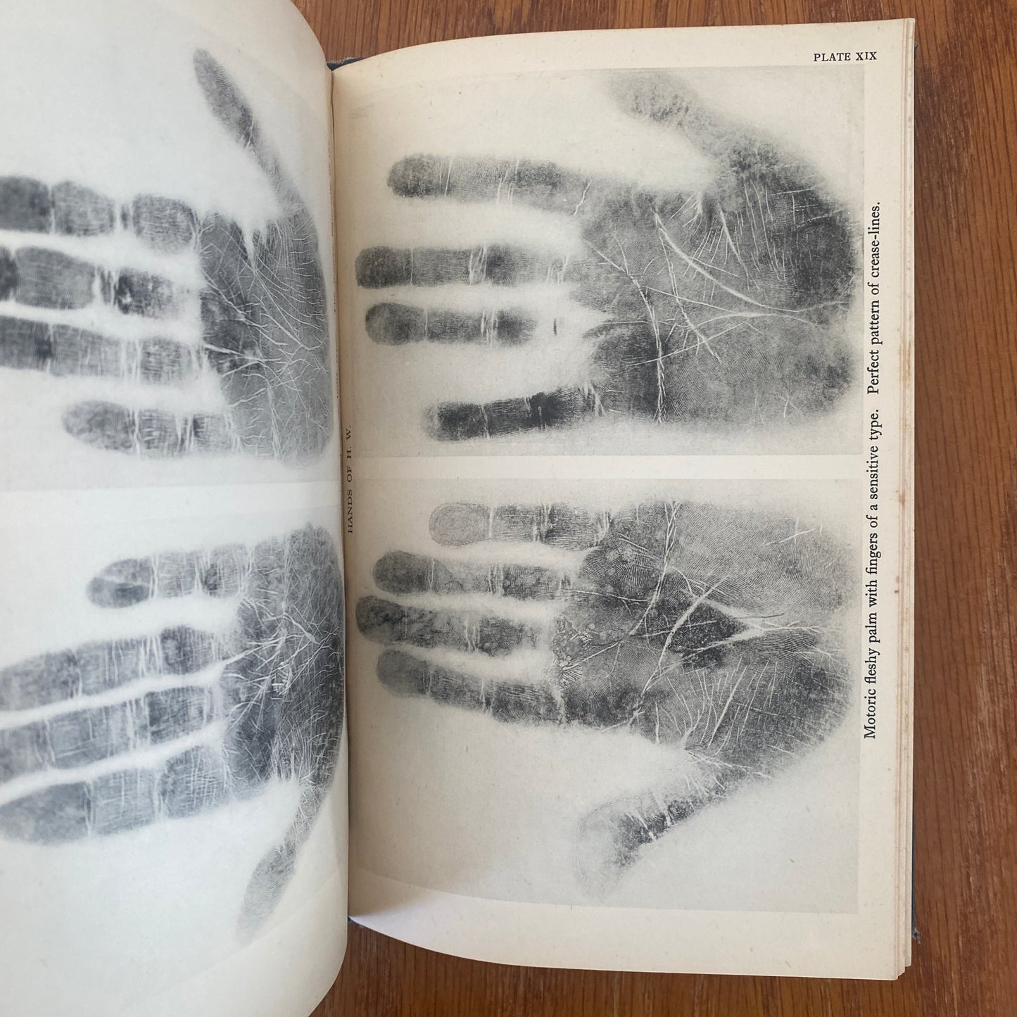 The Human Hand - Dr. Charlotte Wolff