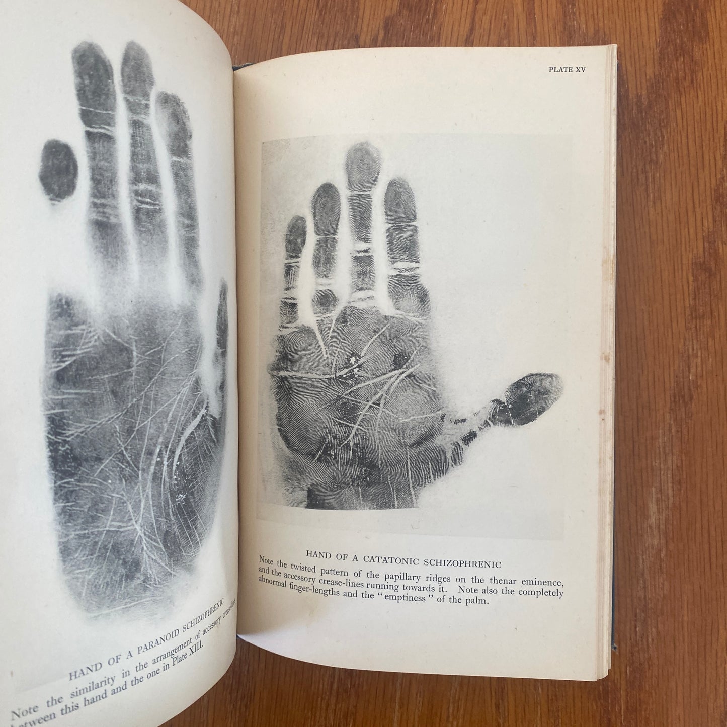 The Human Hand - Dr. Charlotte Wolff