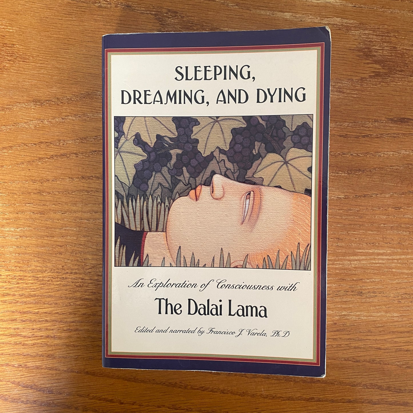 Sleeping, Dreaming, and Dying An Exploration of Consciousness with The Dalai Lama