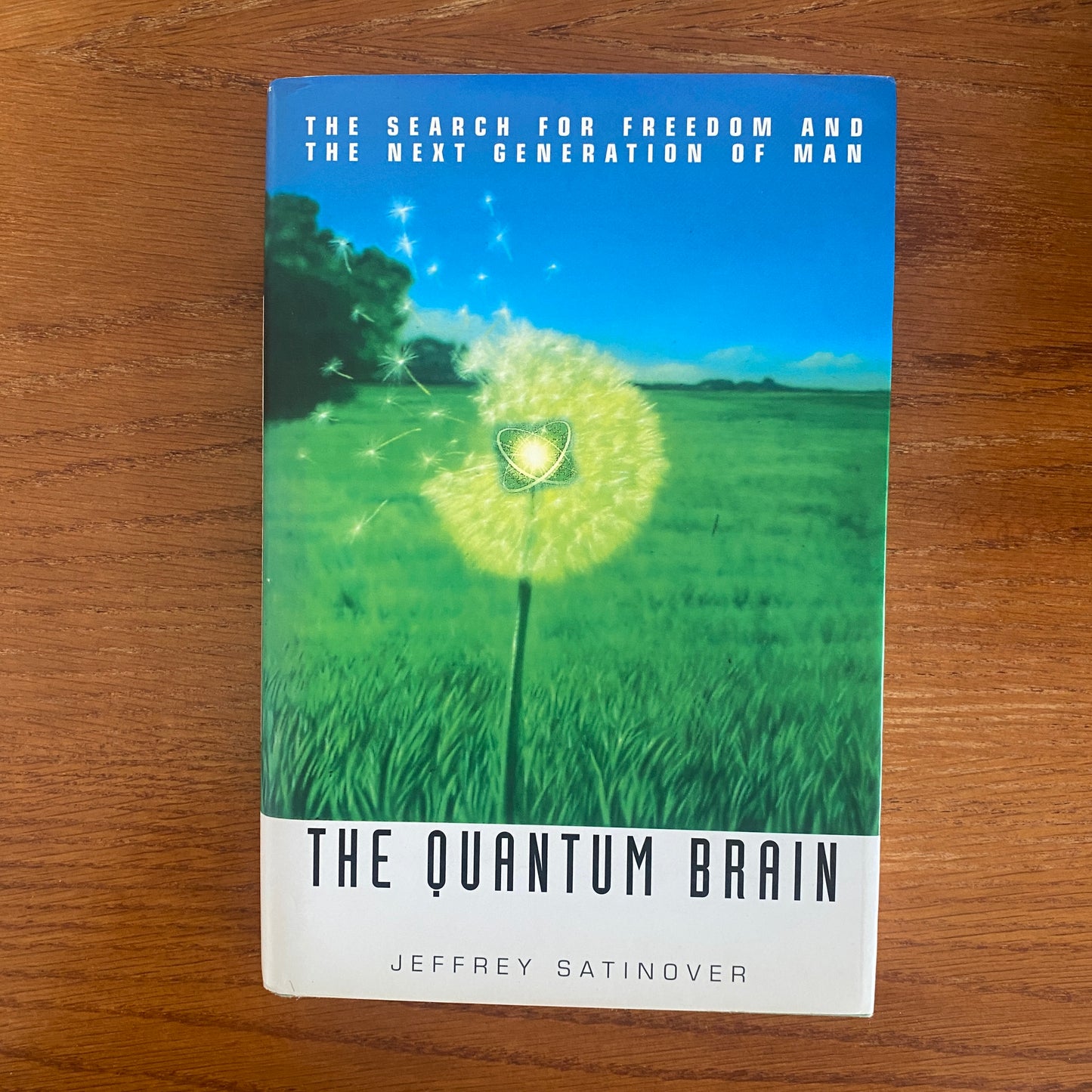 The Quantum Brain - Jeffrey Satinover