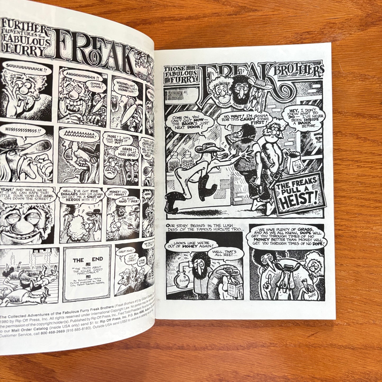 Fabulous Furry Freak Brothers #1