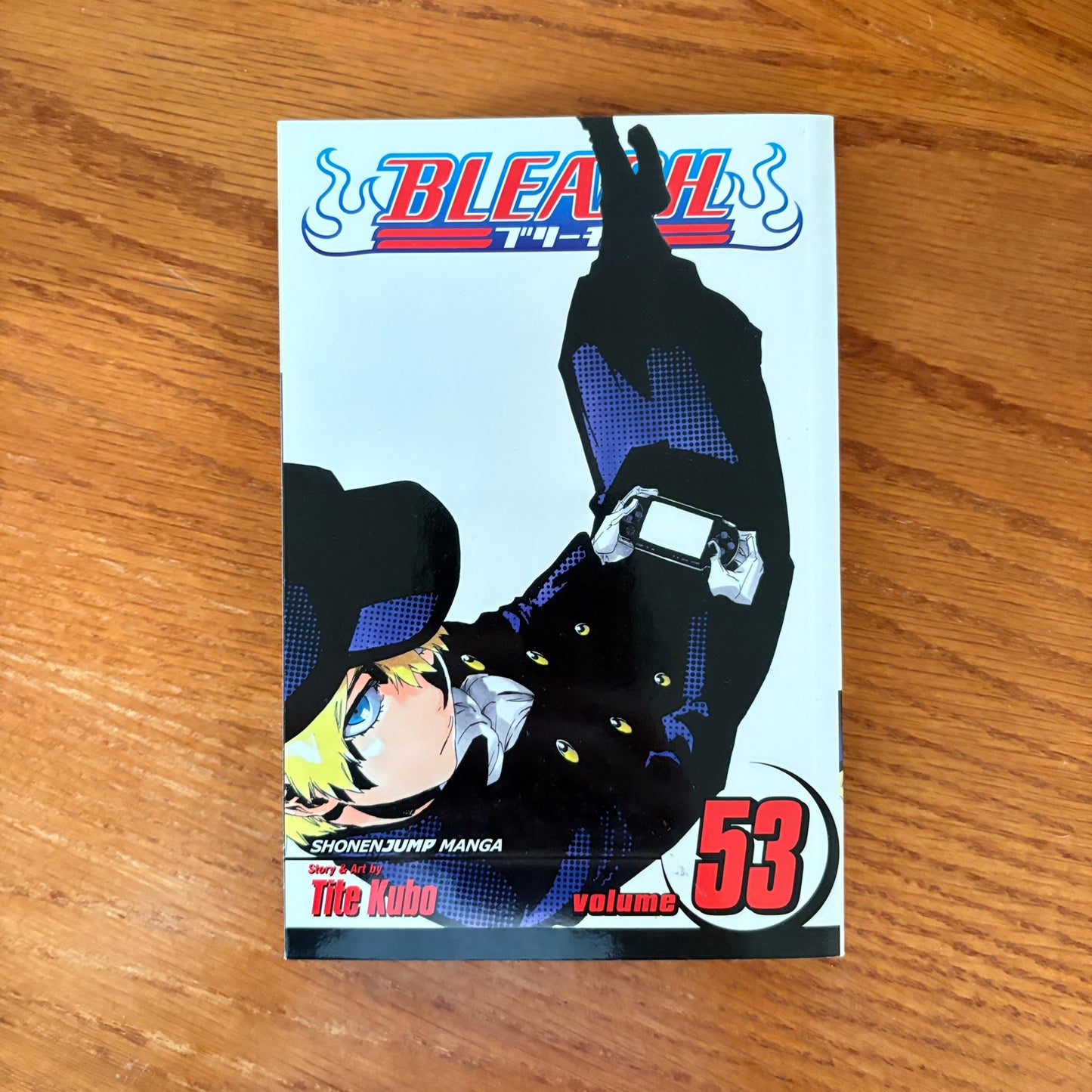Bleach 53
