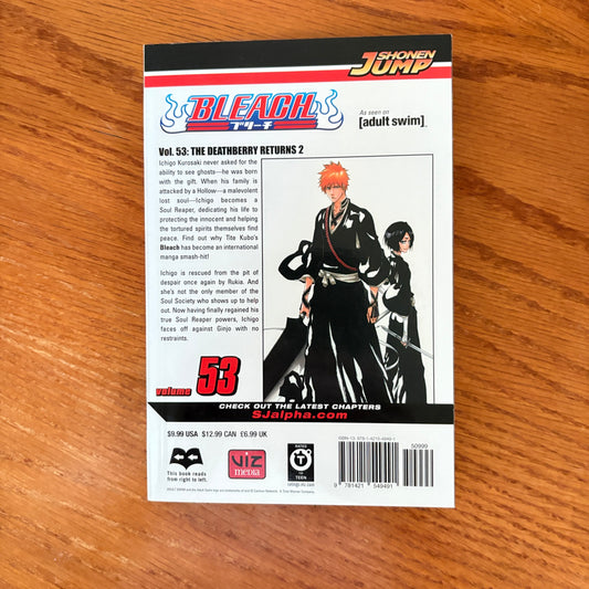 Bleach 53