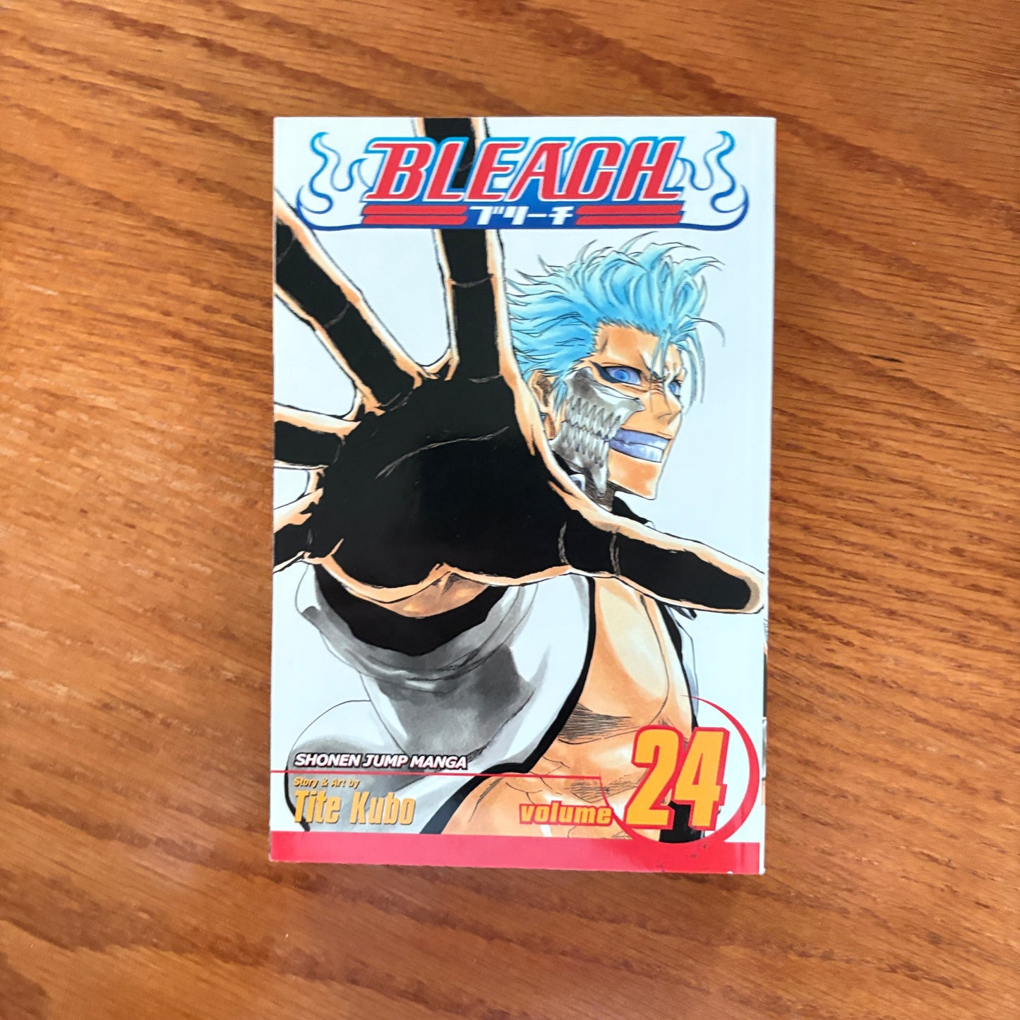 Bleach 24