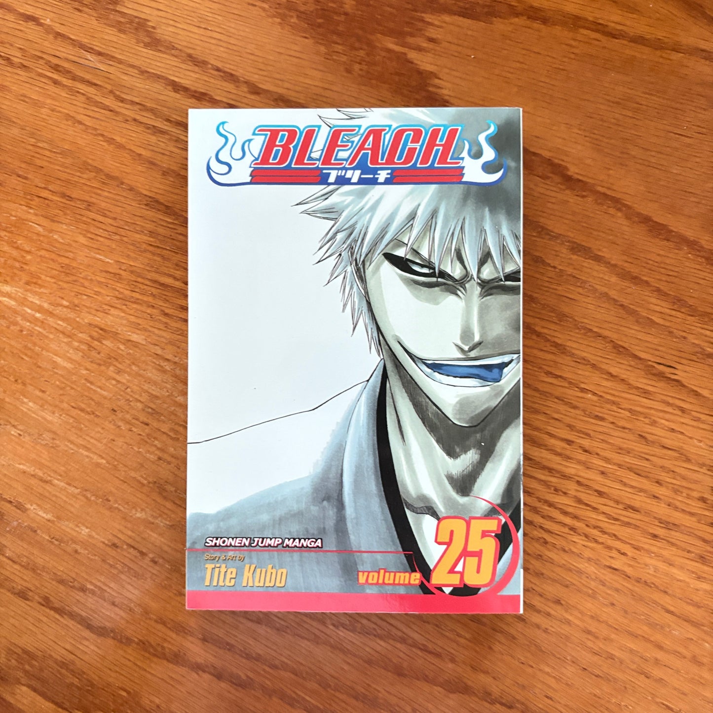 Bleach 25