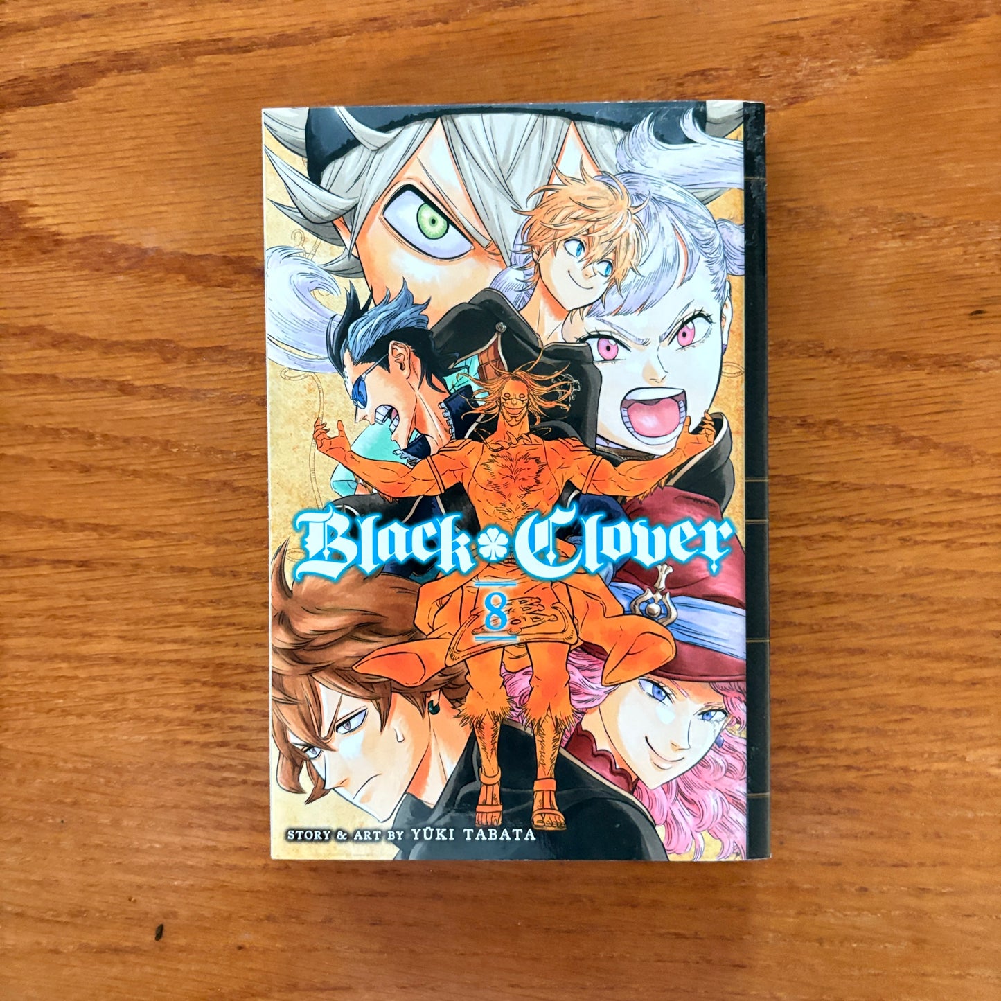 Black Clover 8