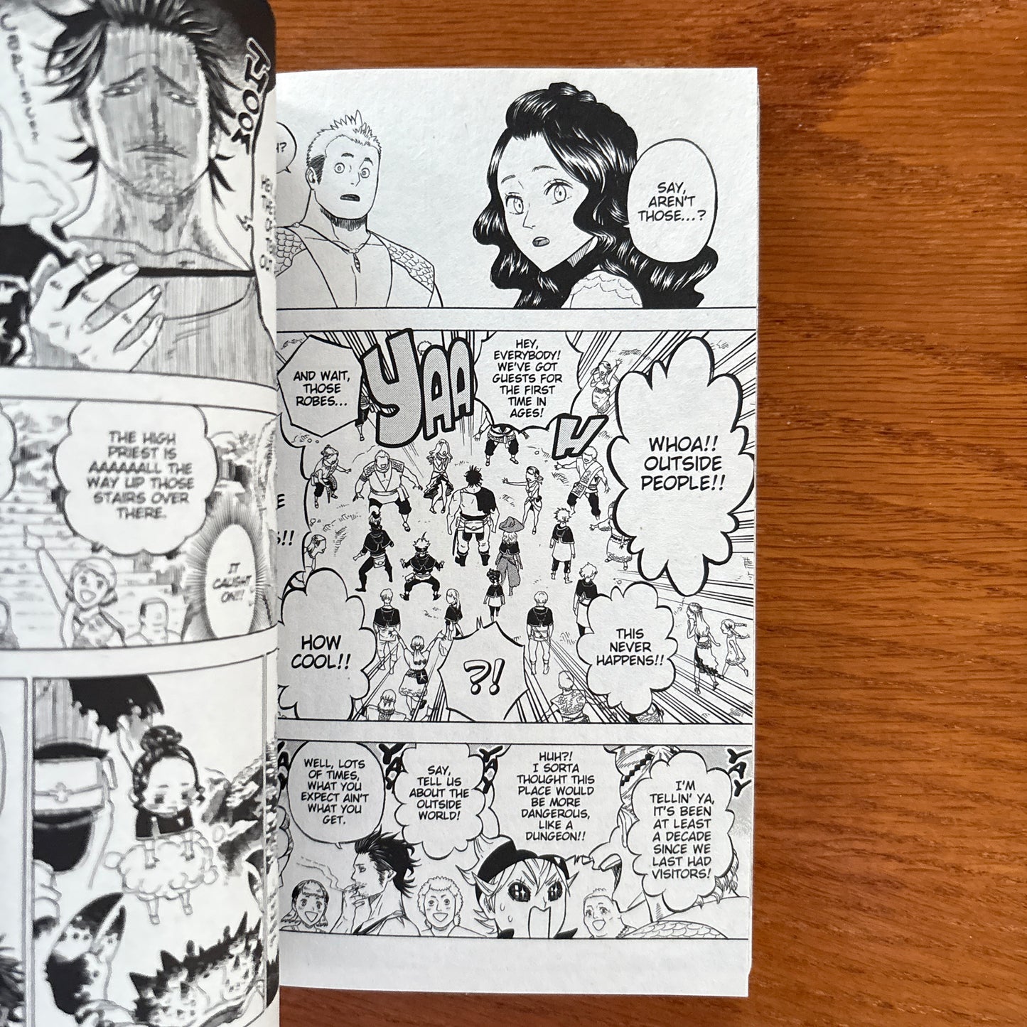 Black Clover 7