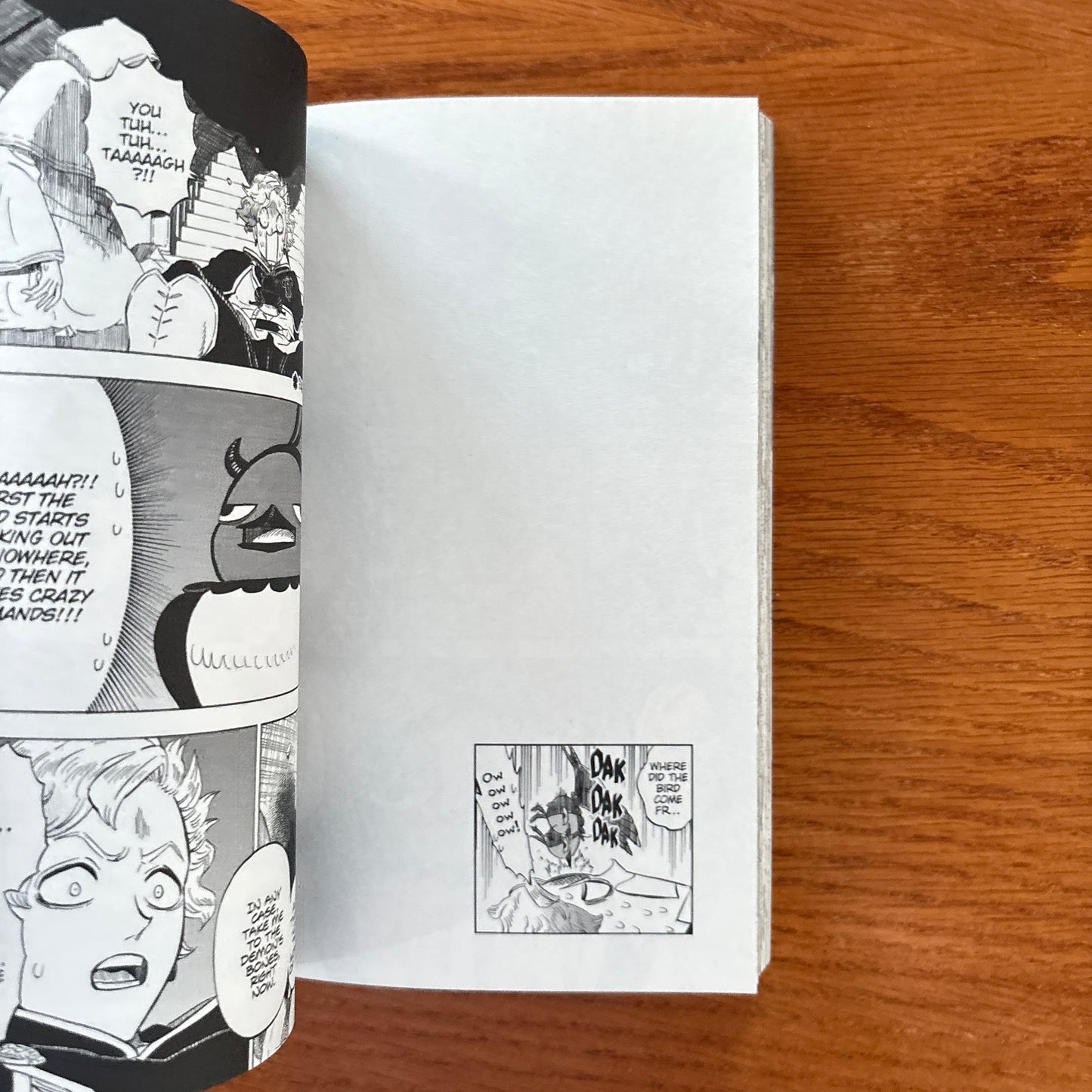 Black Clover 24