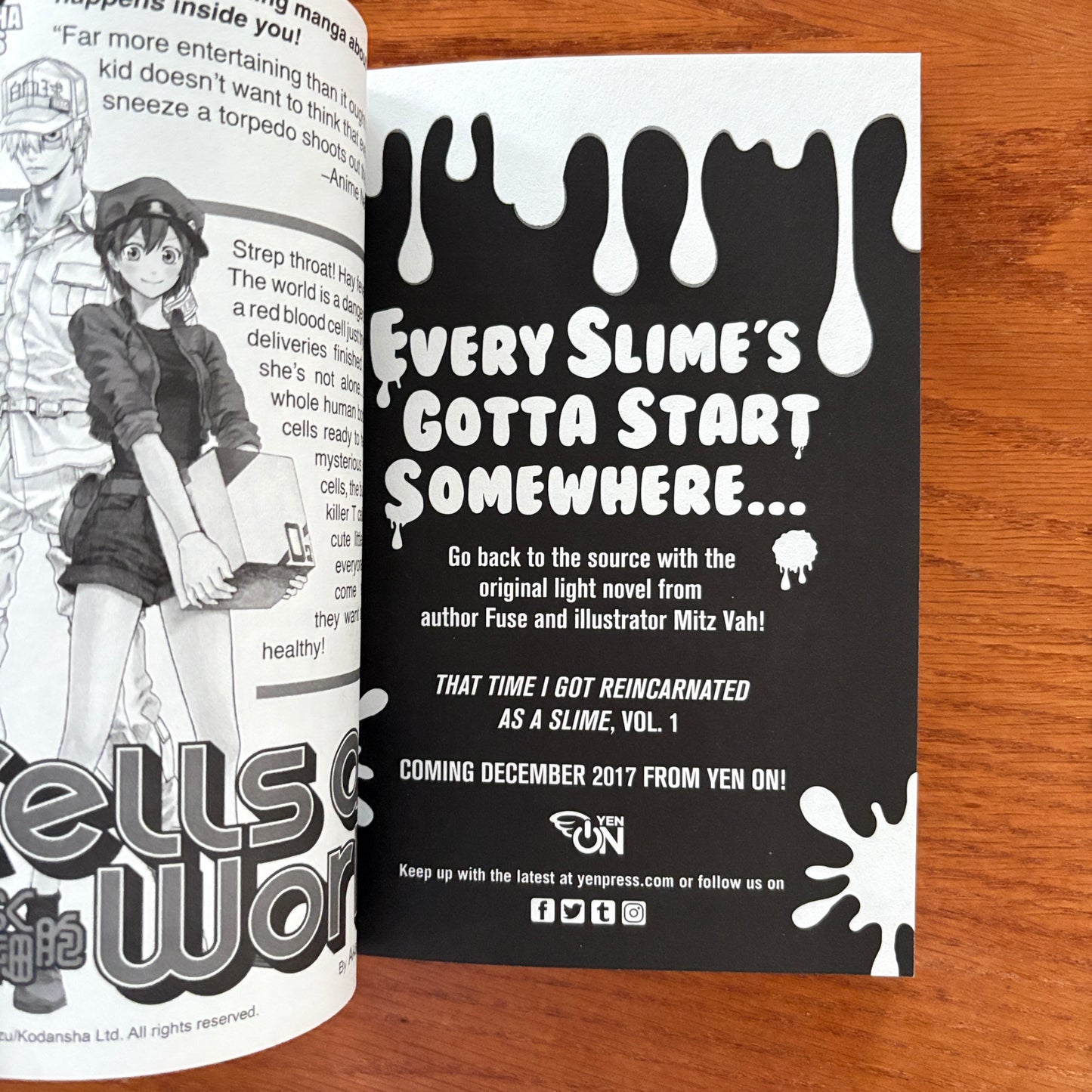 That Time I Got Reincarnated As A Slime