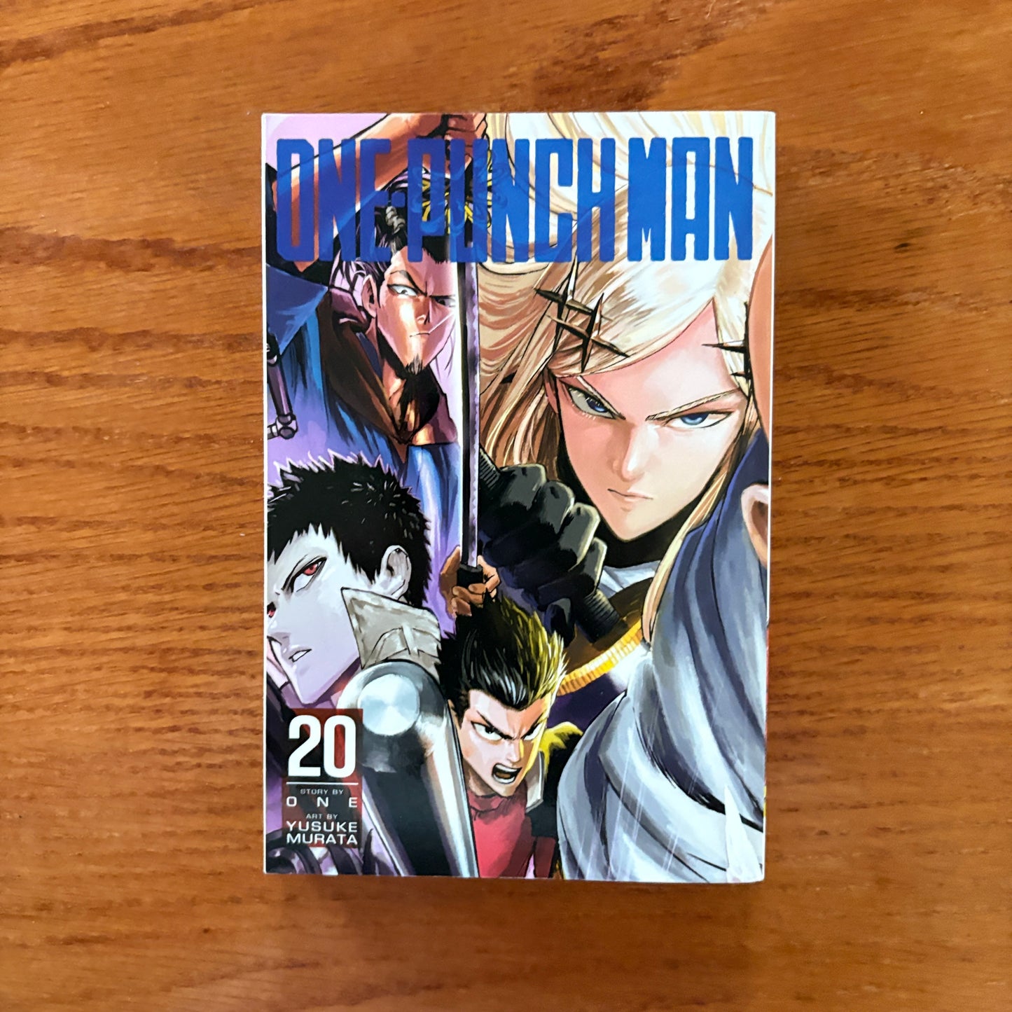 One Punch Man 20