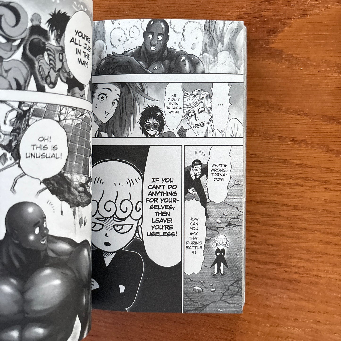 One Punch Man 20