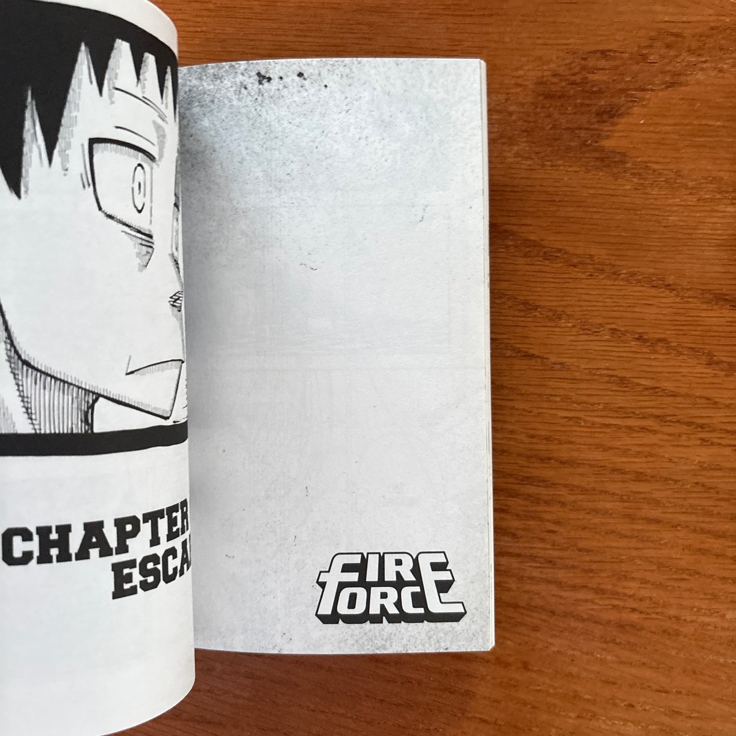 Fire Force 20