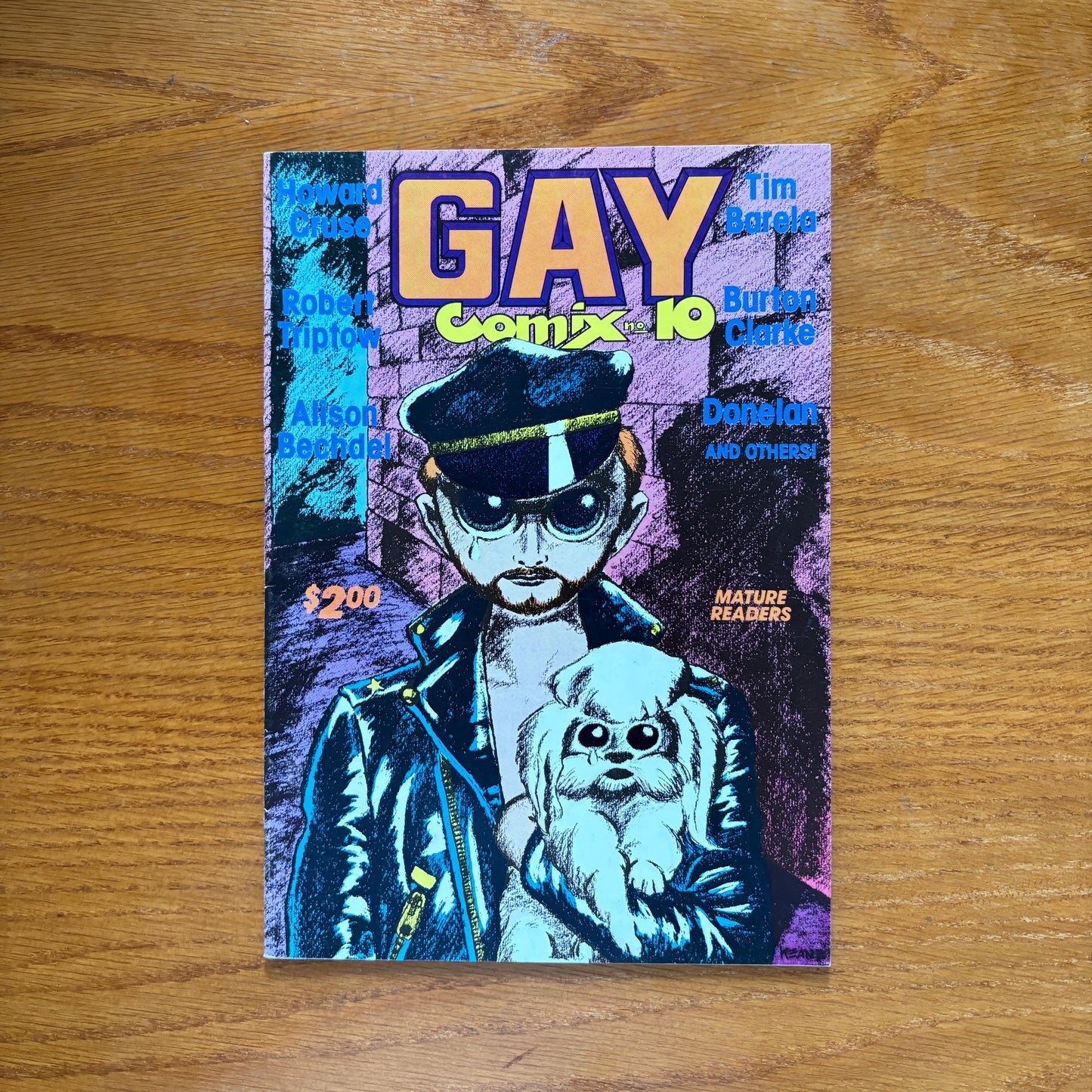 Gay Comix 10