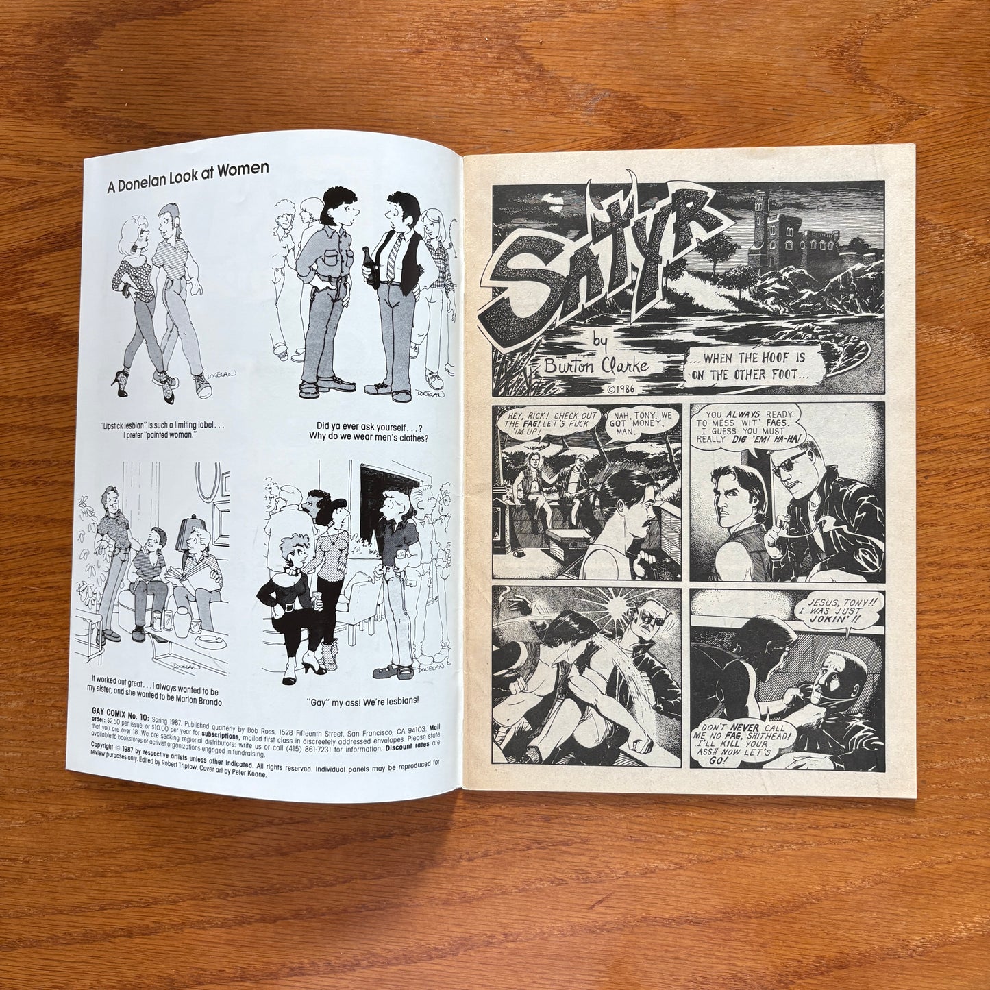 Gay Comix 10