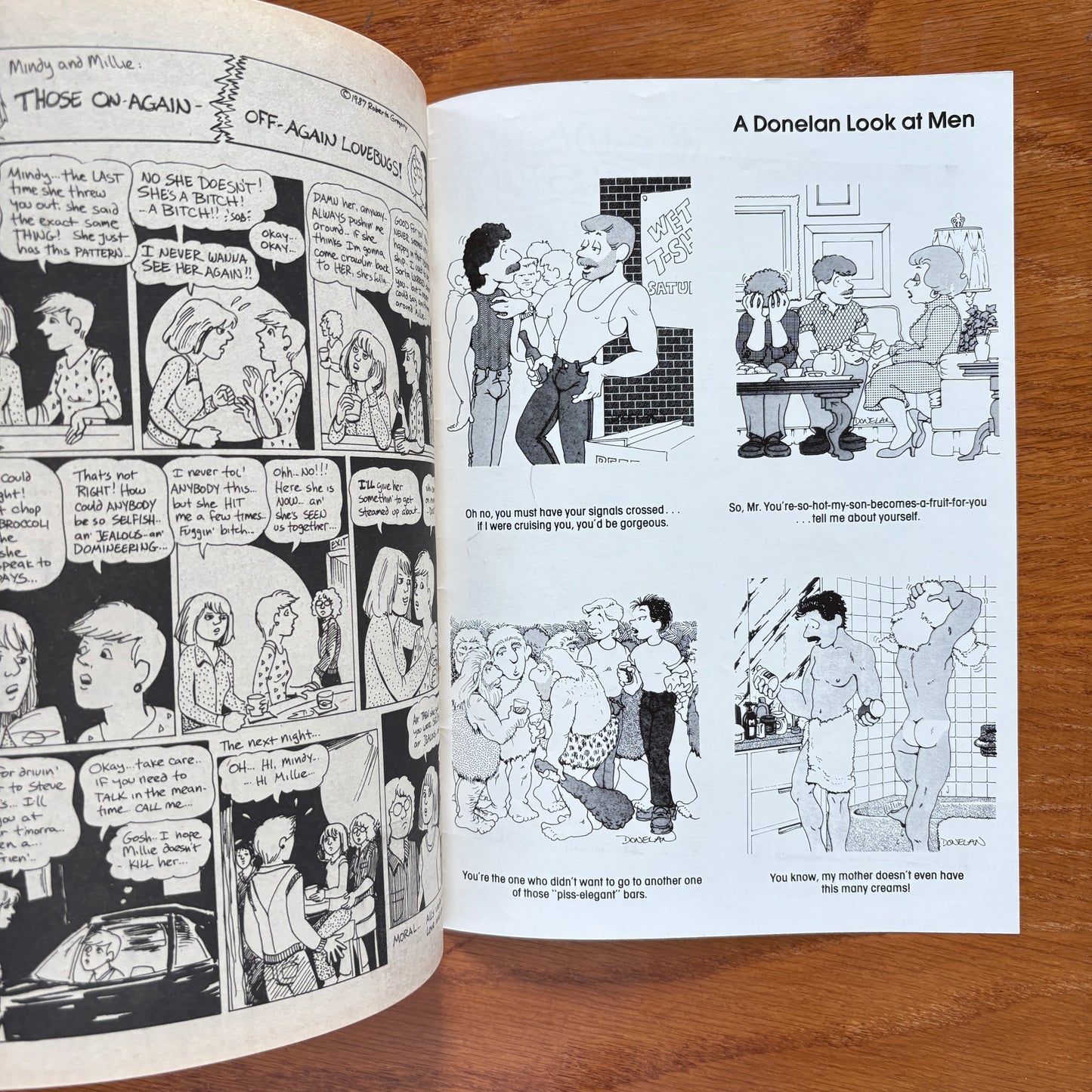 Gay Comix 10