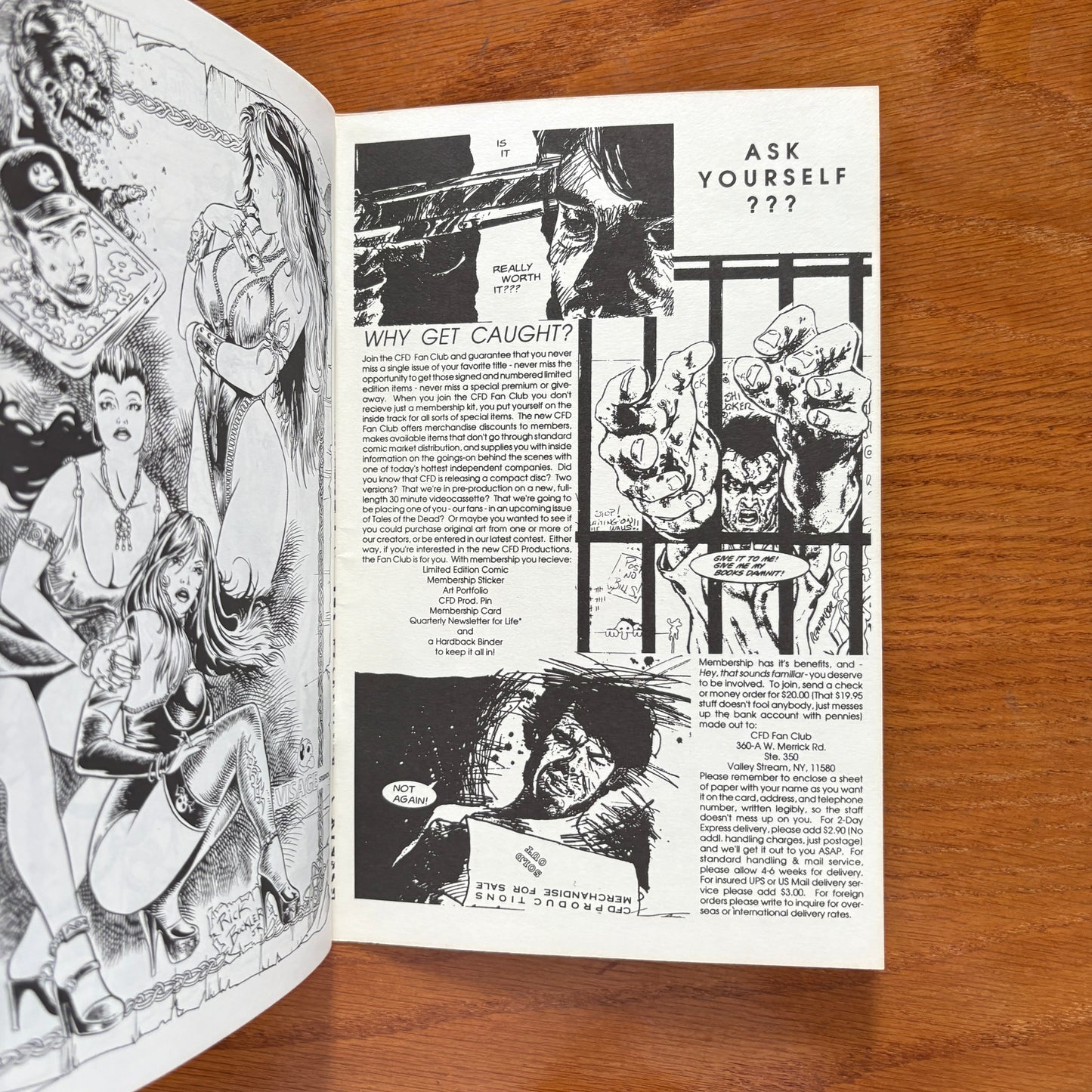 Black Lace Fantasies: The CFD Book of Lingerie II