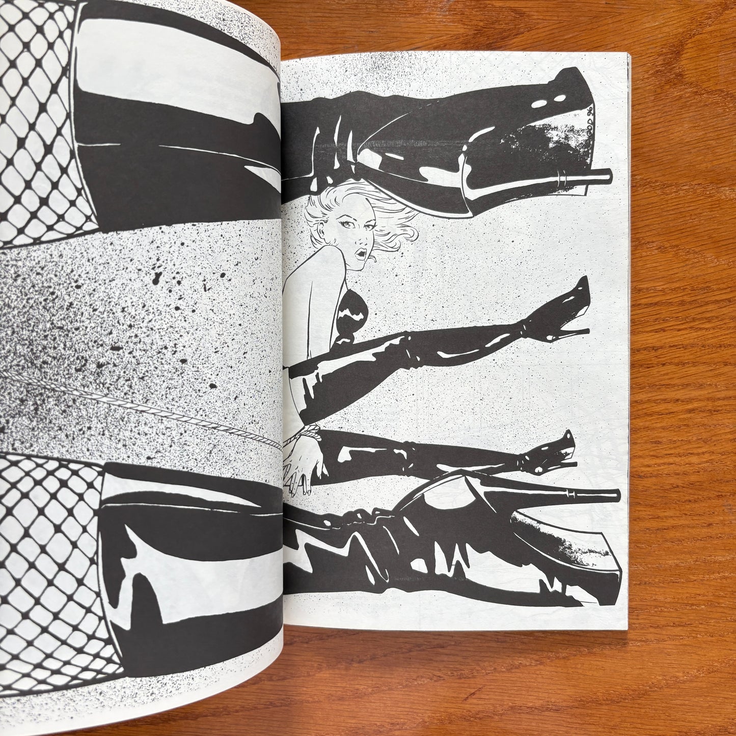 Black Lace Fantasies: The CFD Book of Lingerie II