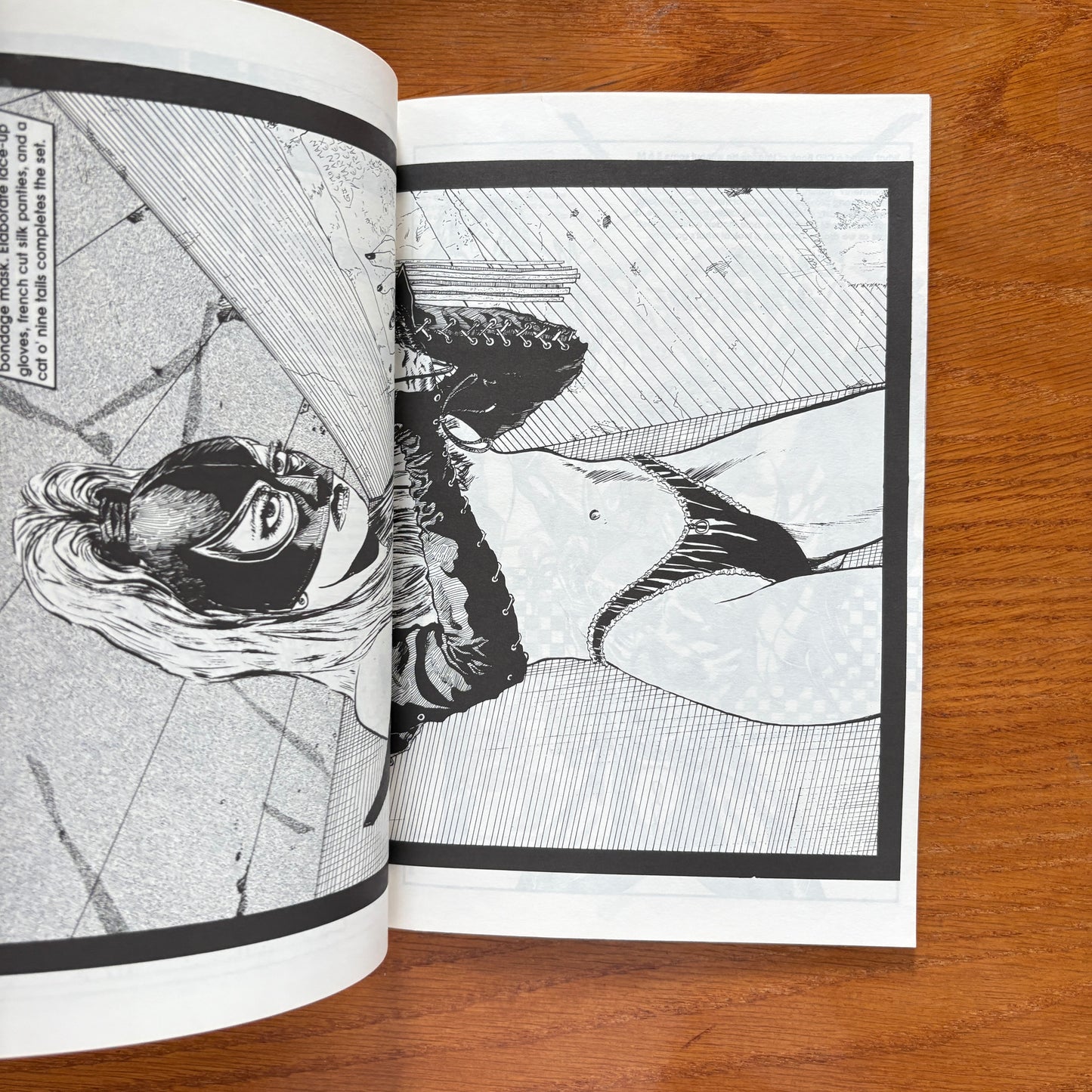 Black Lace Fantasies: The CFD Book of Lingerie II