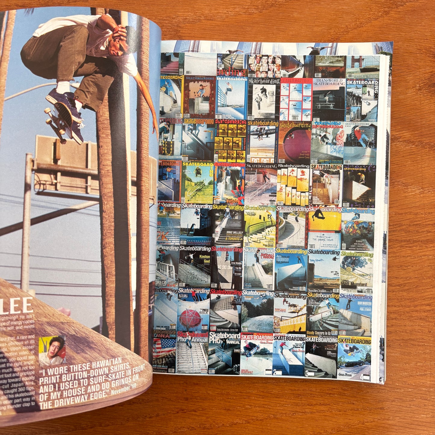 Transworld Skateboarding Jan 2003 20th Anniversary Issue