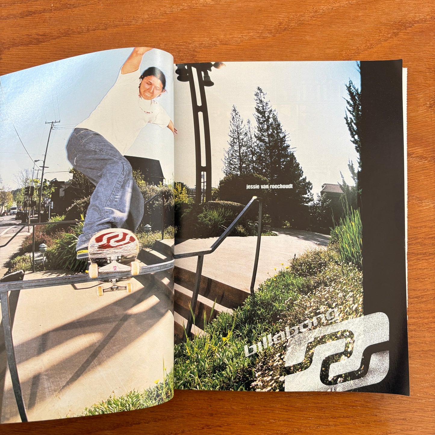 Transworld Skateboarding Jan 2003 20th Anniversary Issue