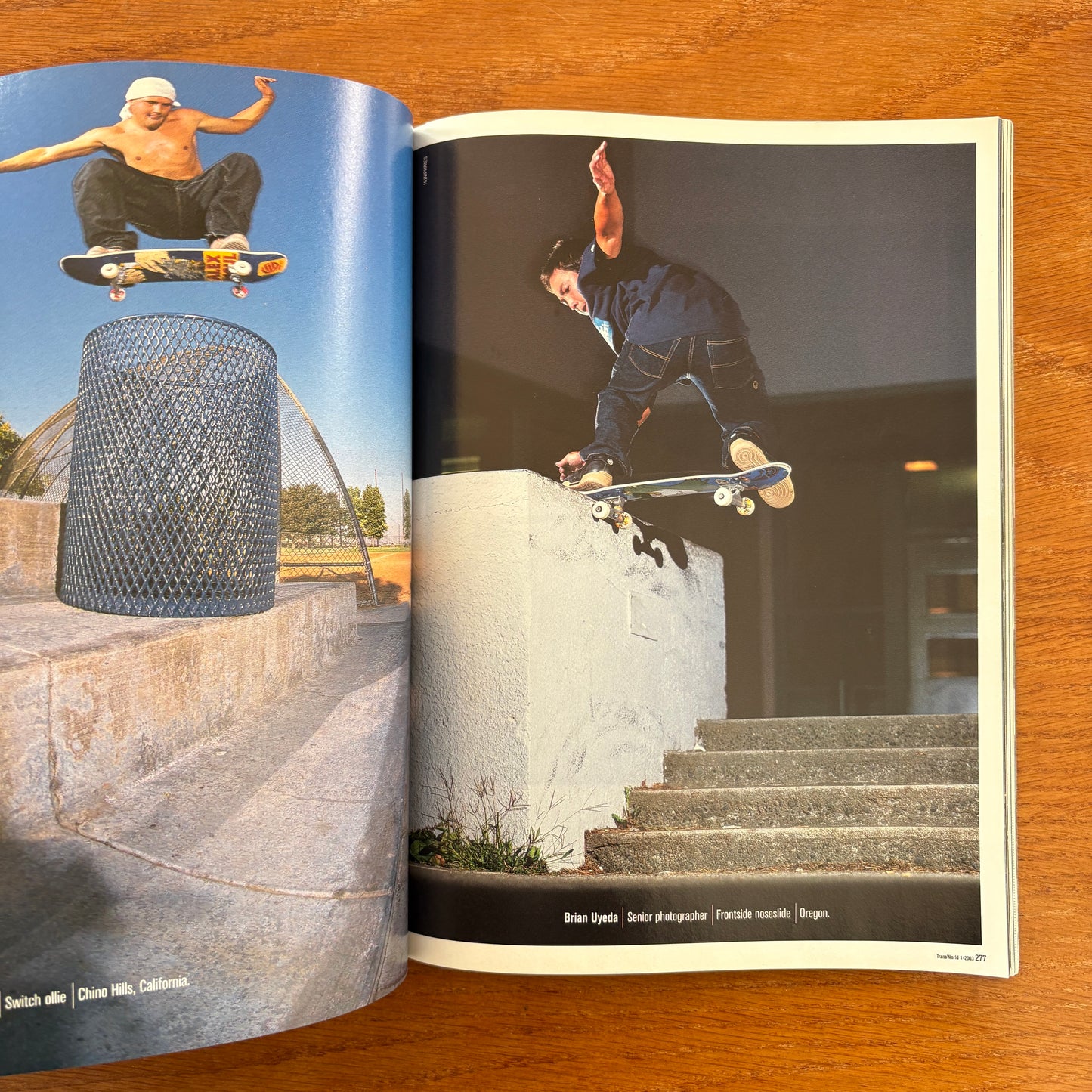 Transworld Skateboarding Jan 2003 20th Anniversary Issue