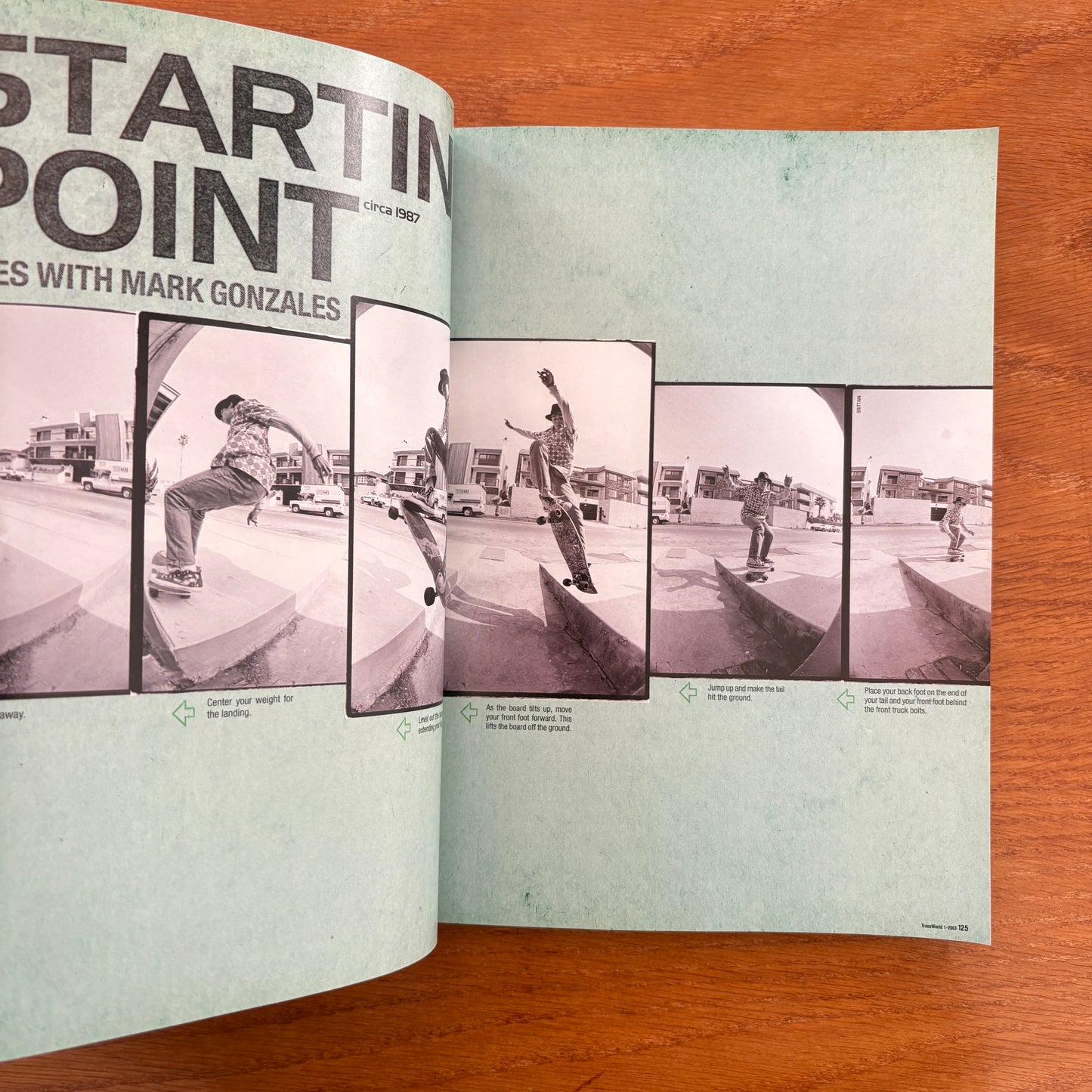 Transworld Skateboarding Jan 2003 20th Anniversary Issue