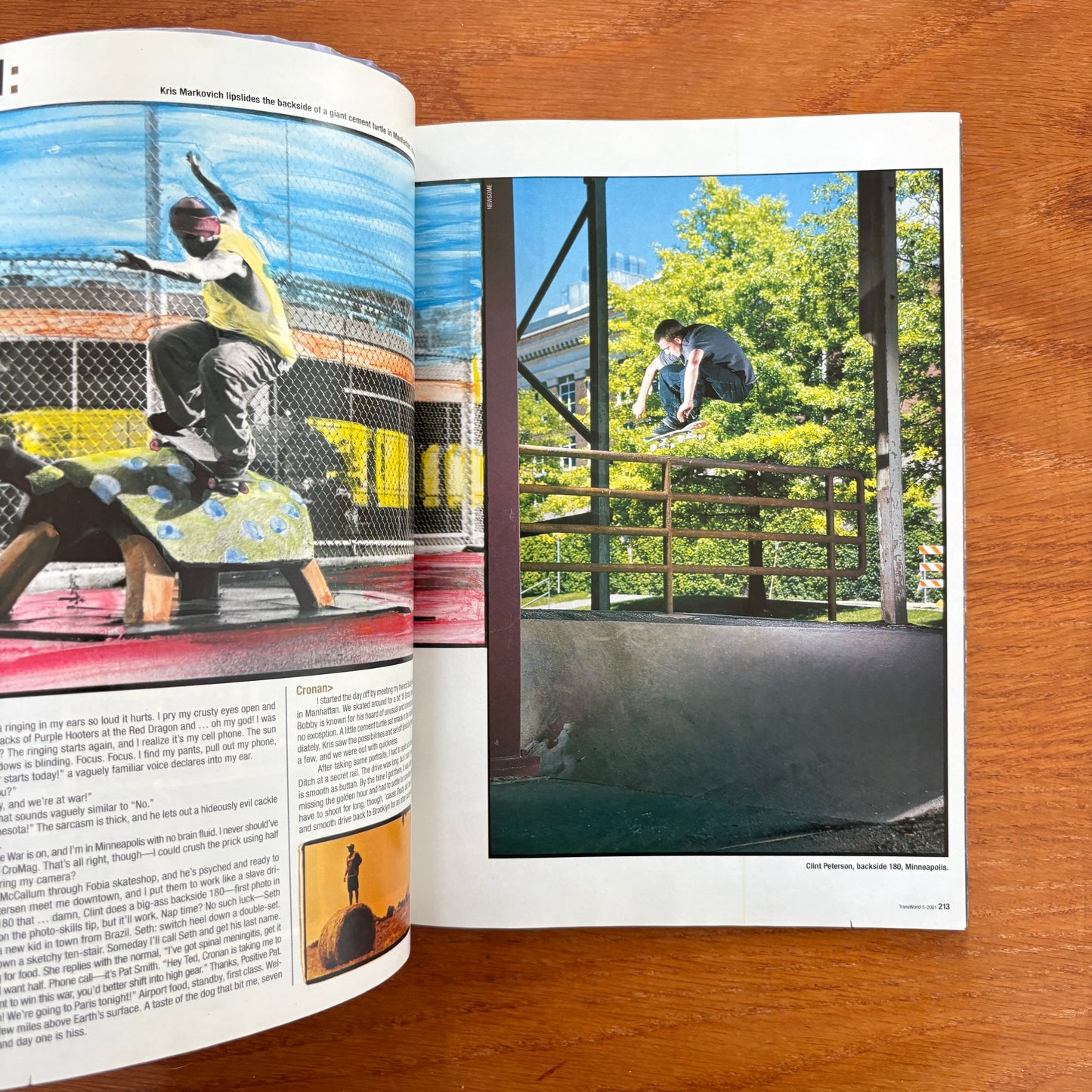 Transworld May 2001