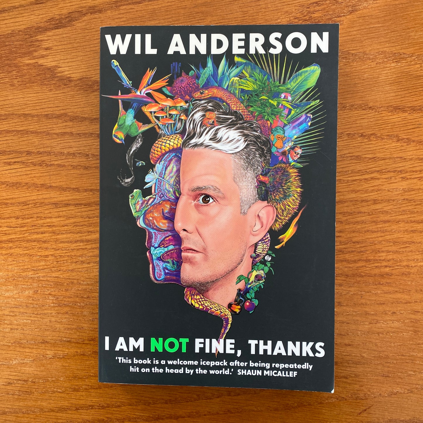 Wil Anderson - I Am Not Fine, Thanks