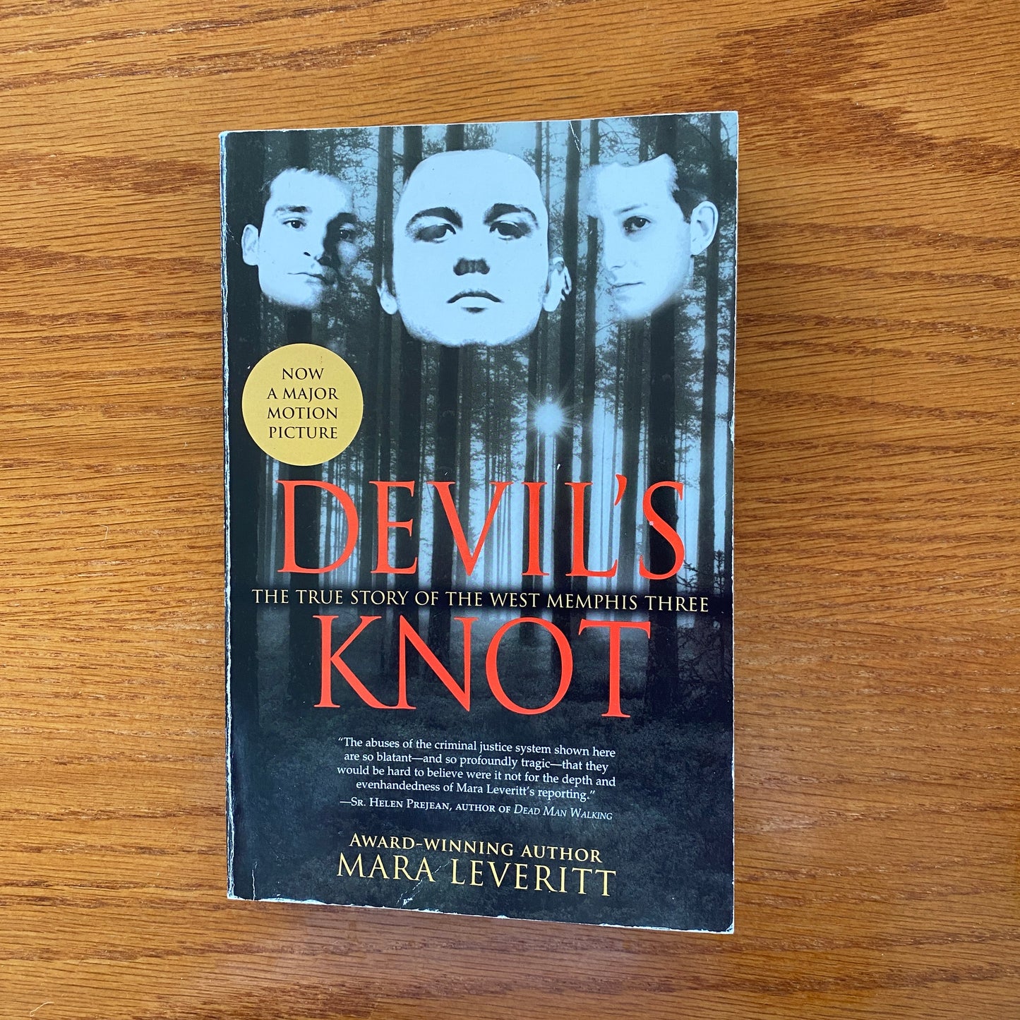 Devils Knot: The True Story of the West Memphis Three - Mara Leveritt