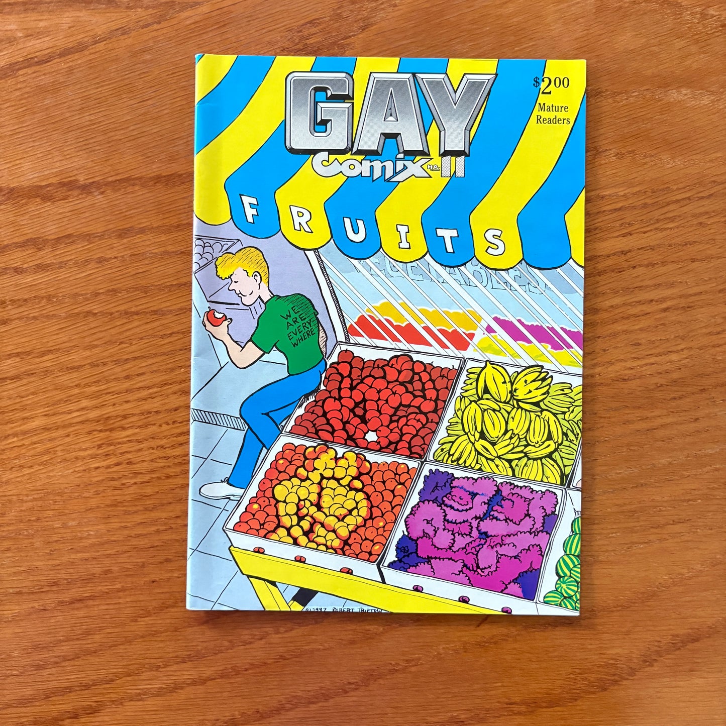 Gay Comix 11
