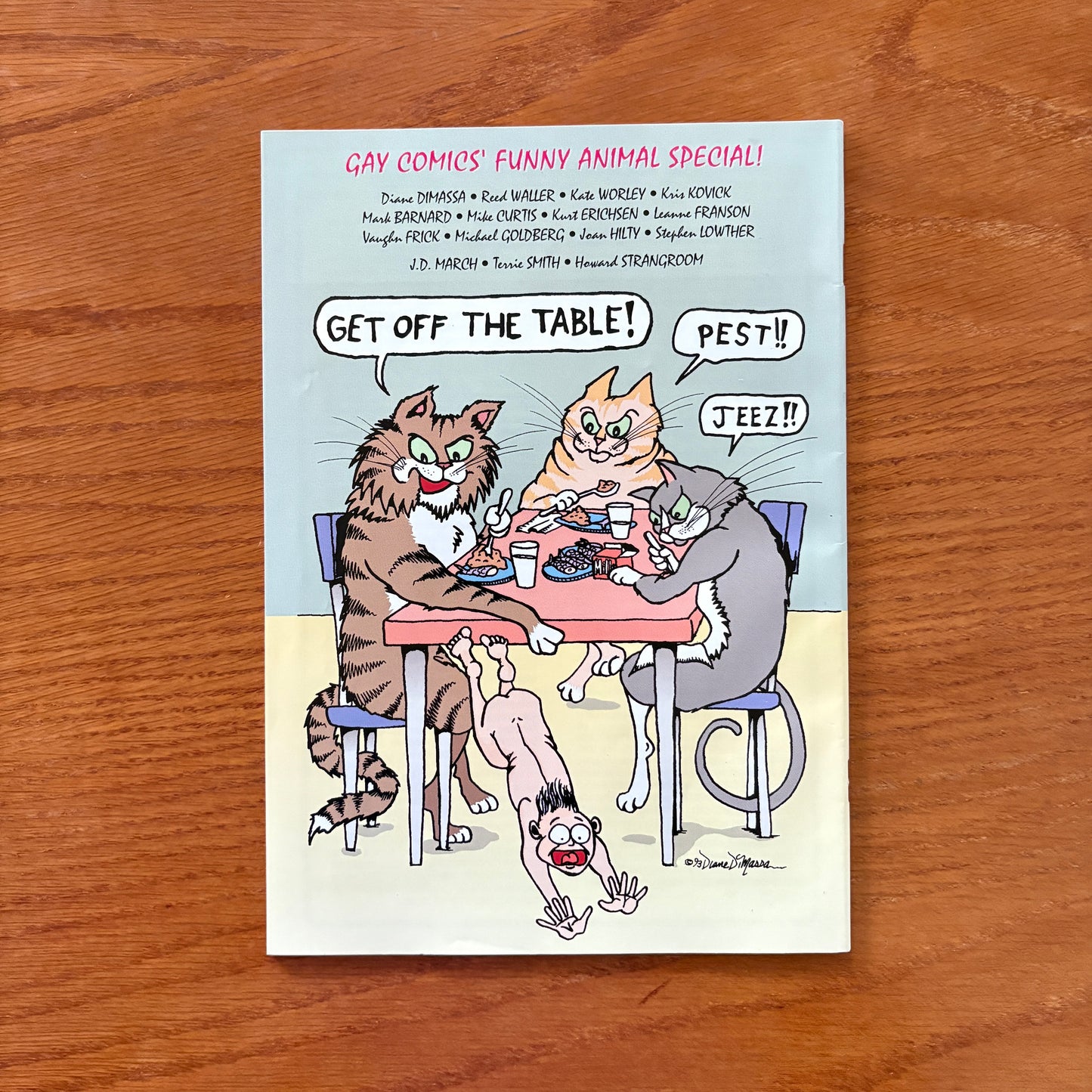 Gay Comix 22