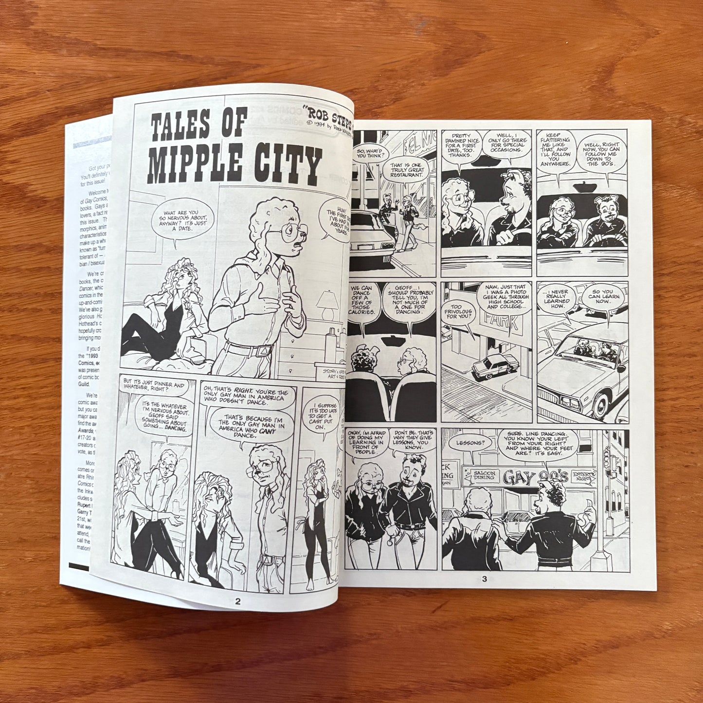 Gay Comix 22
