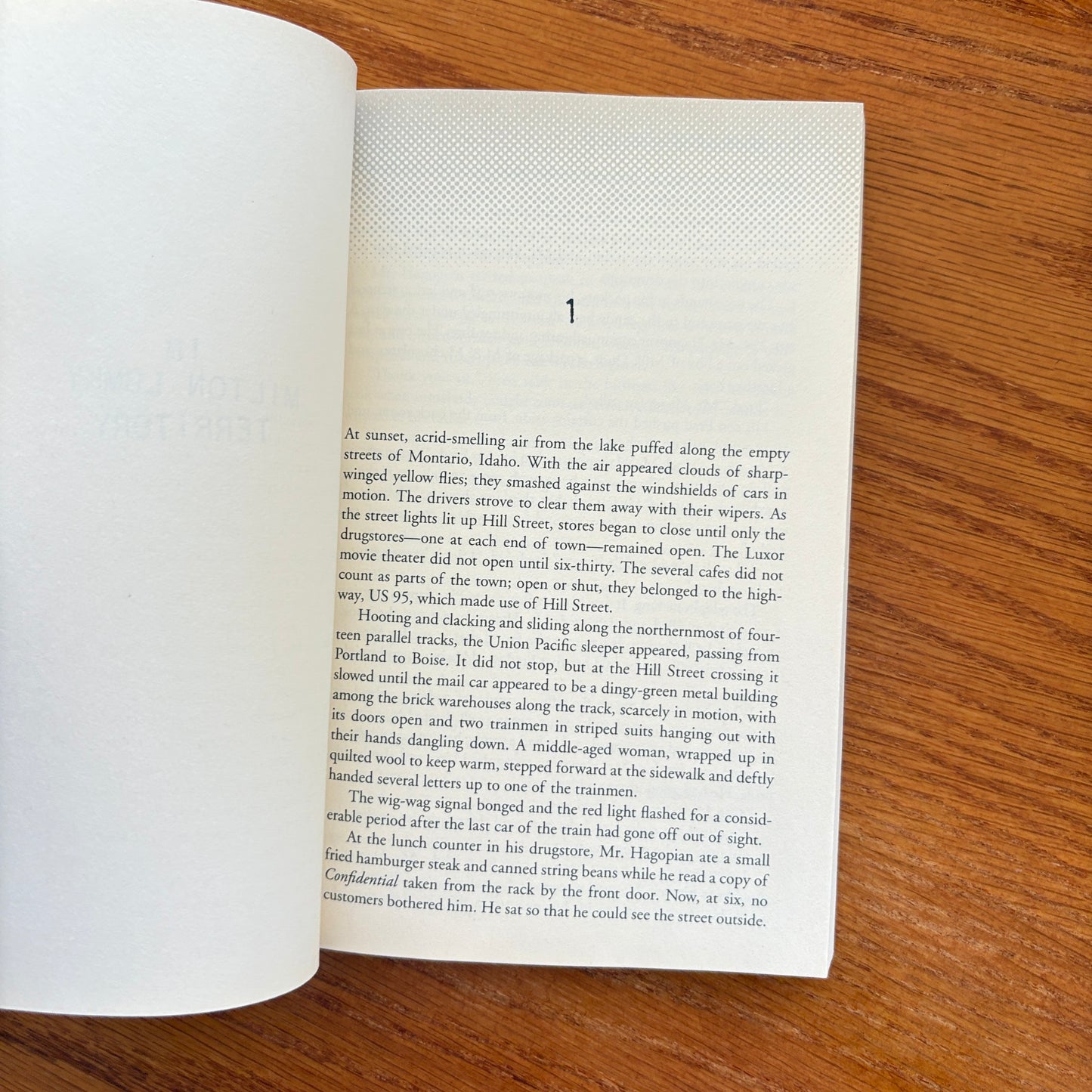 Philip K. Dick - In Milton Lumky Territory