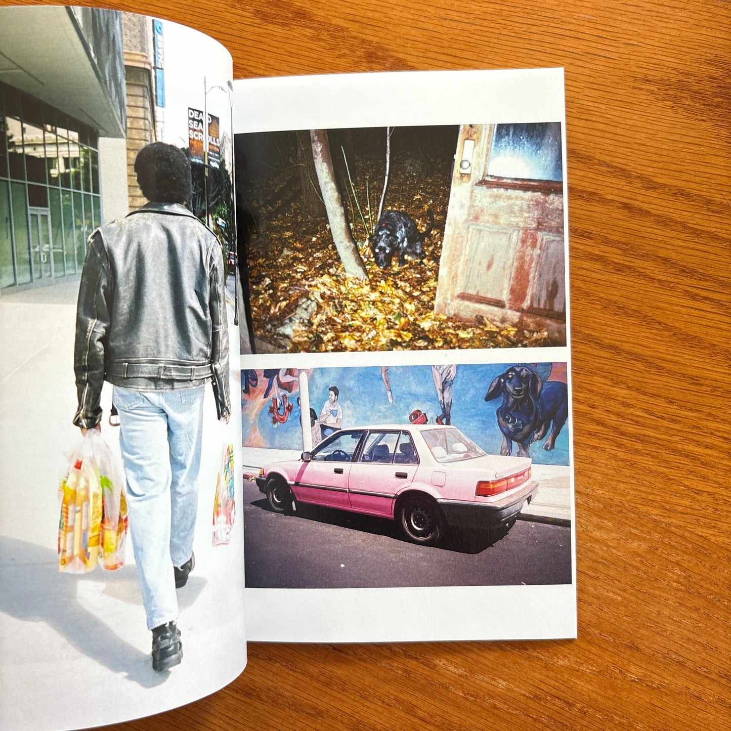 40 Photographs - Daniel Gonzalez