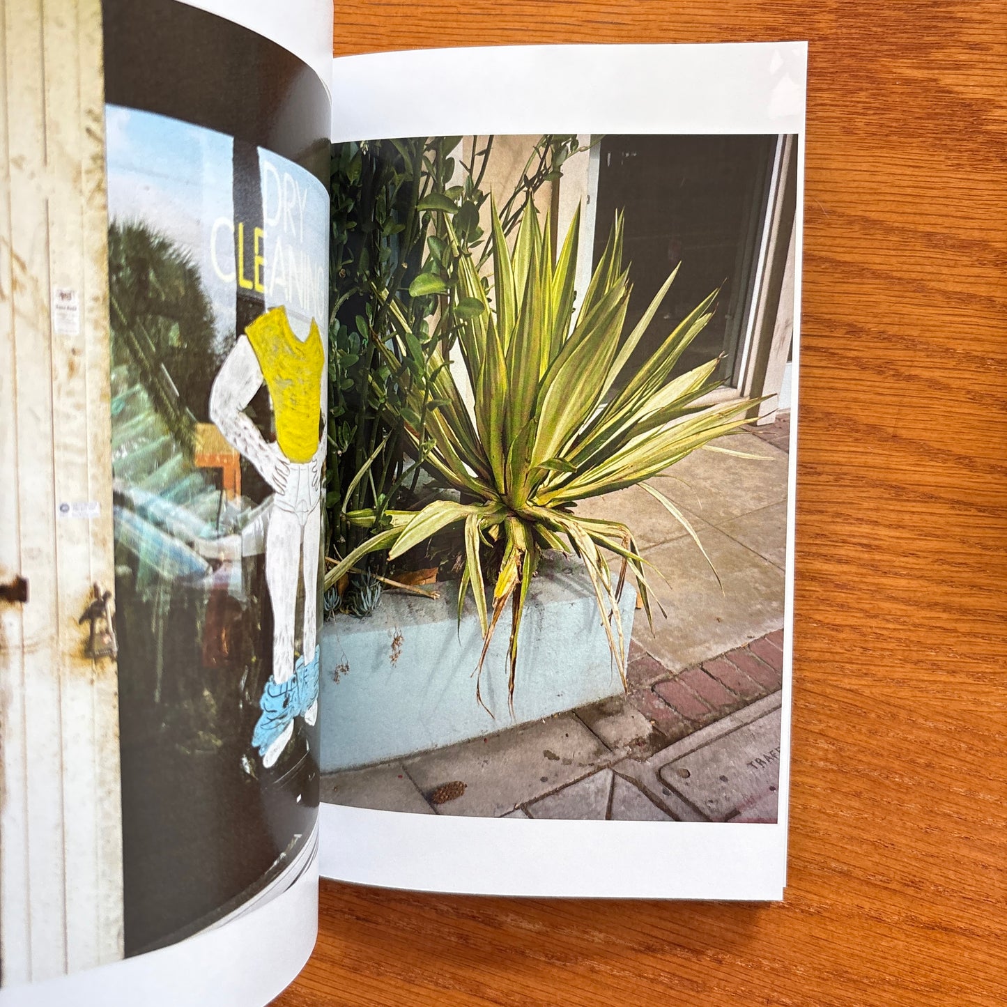 40 Photographs - Daniel Gonzalez