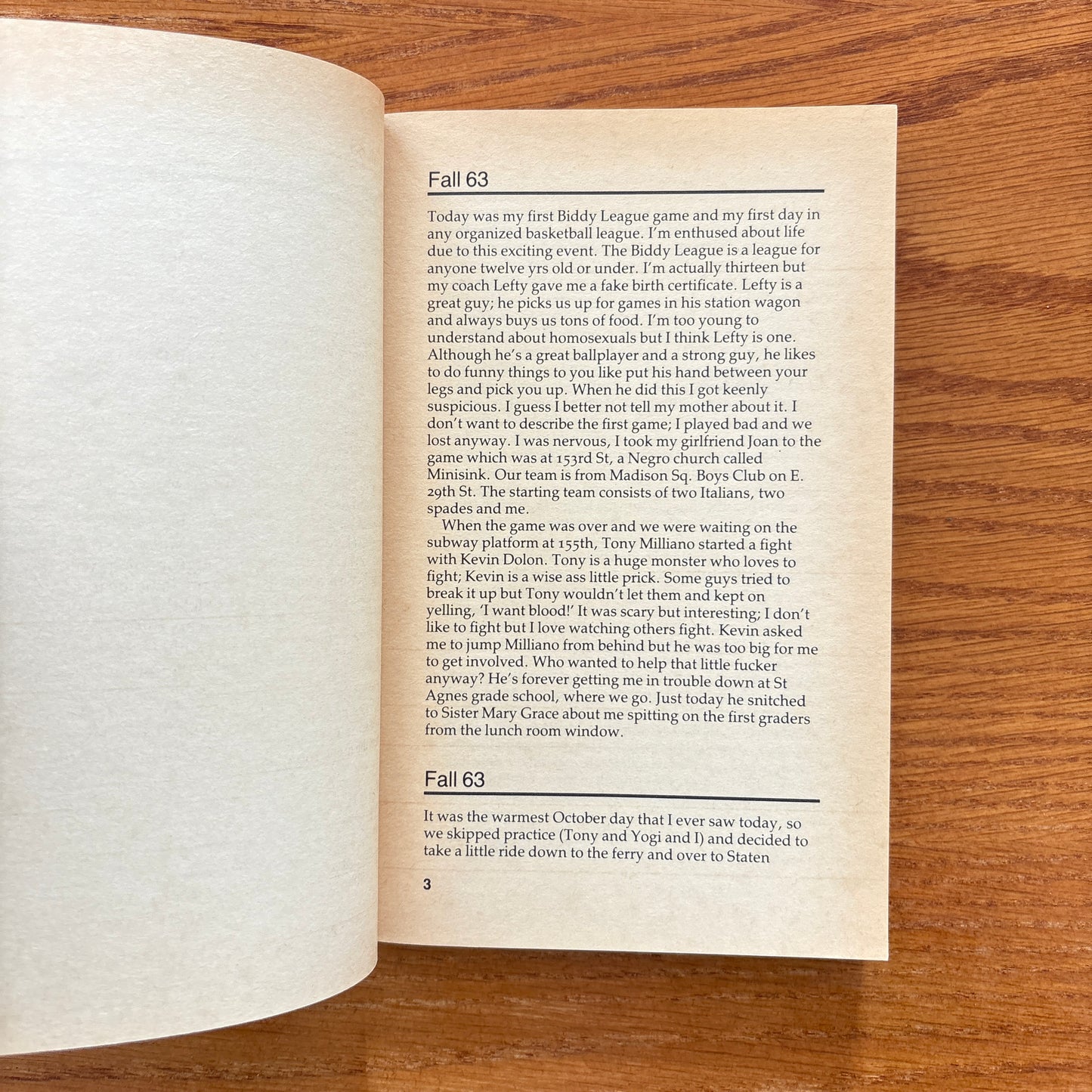 The Basketball Diaries and the Book of Nods - Jim Carroll
