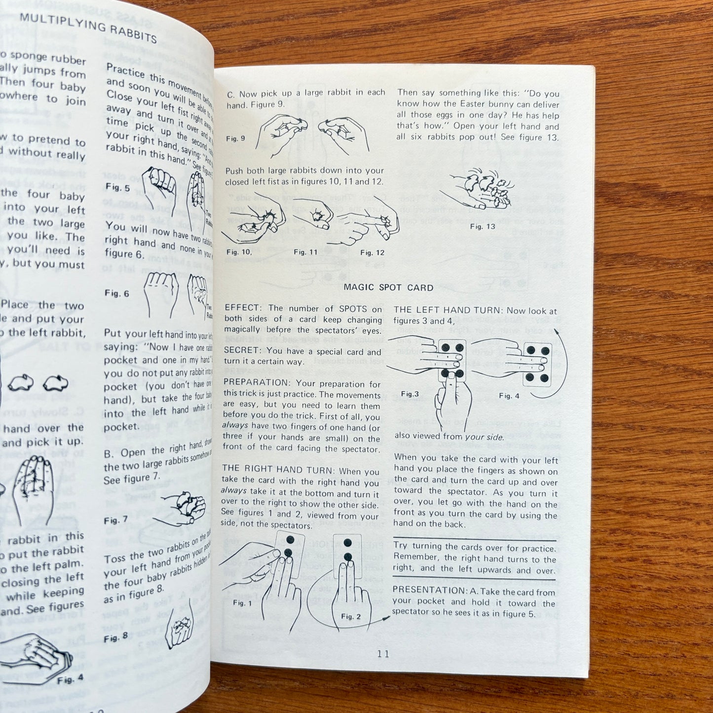 Spectacular Magic Secret Instruction Book - Siegfried & Roy