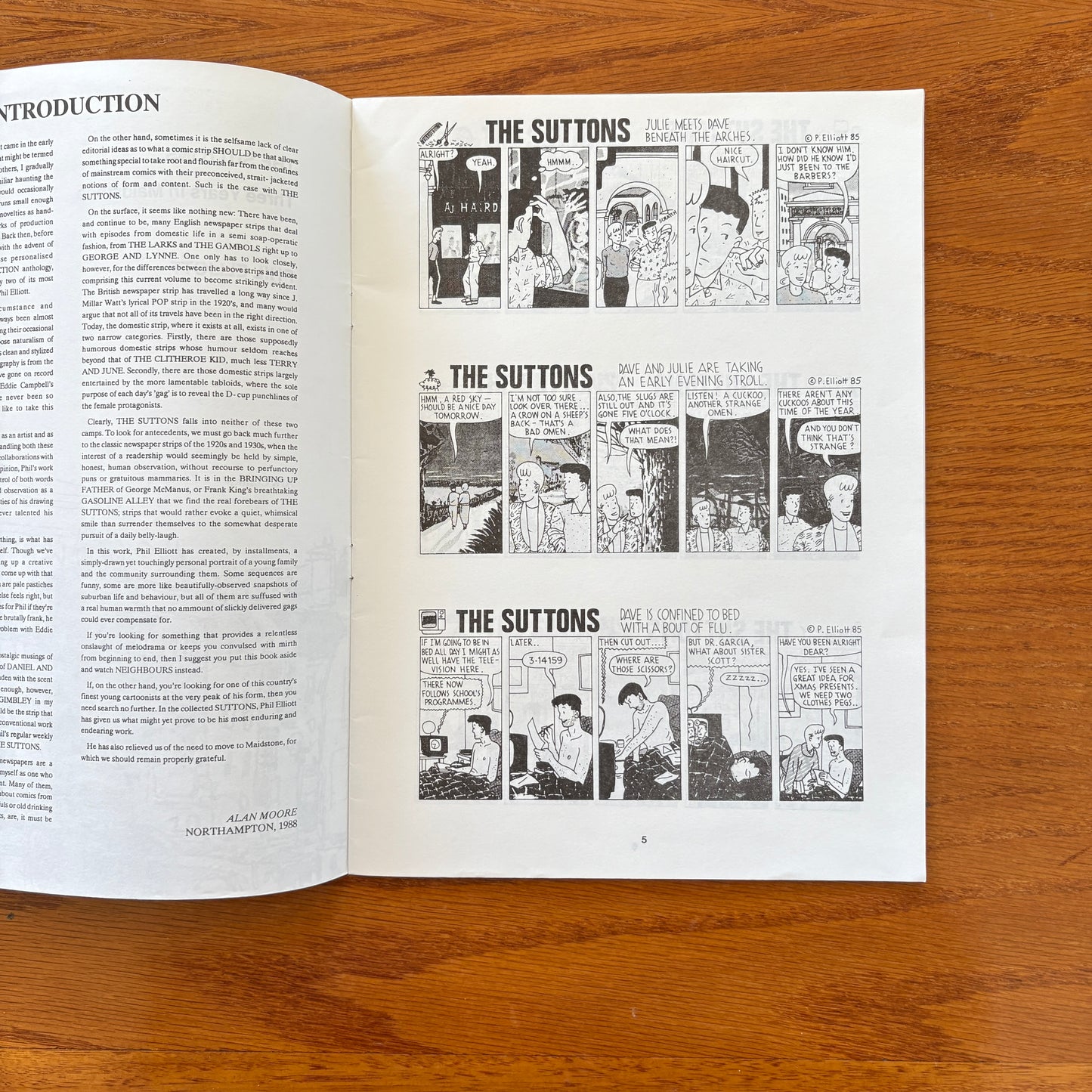 The Suttons: Three years in Maidstone - Collected comic strips by Phil Elliott