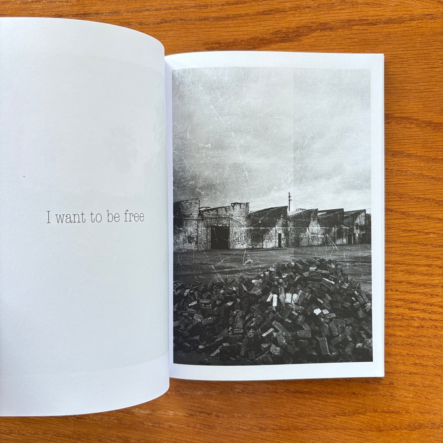 Paper Problems / I Want To Be Free - Caleb Bishop