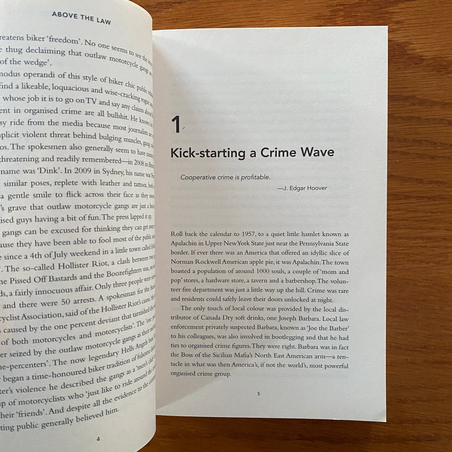 Above The Law: How Outlaw Motorcycle Gangs Established The World's Biggest Criminal Empire - Ross Coulthart & Duncan McNab