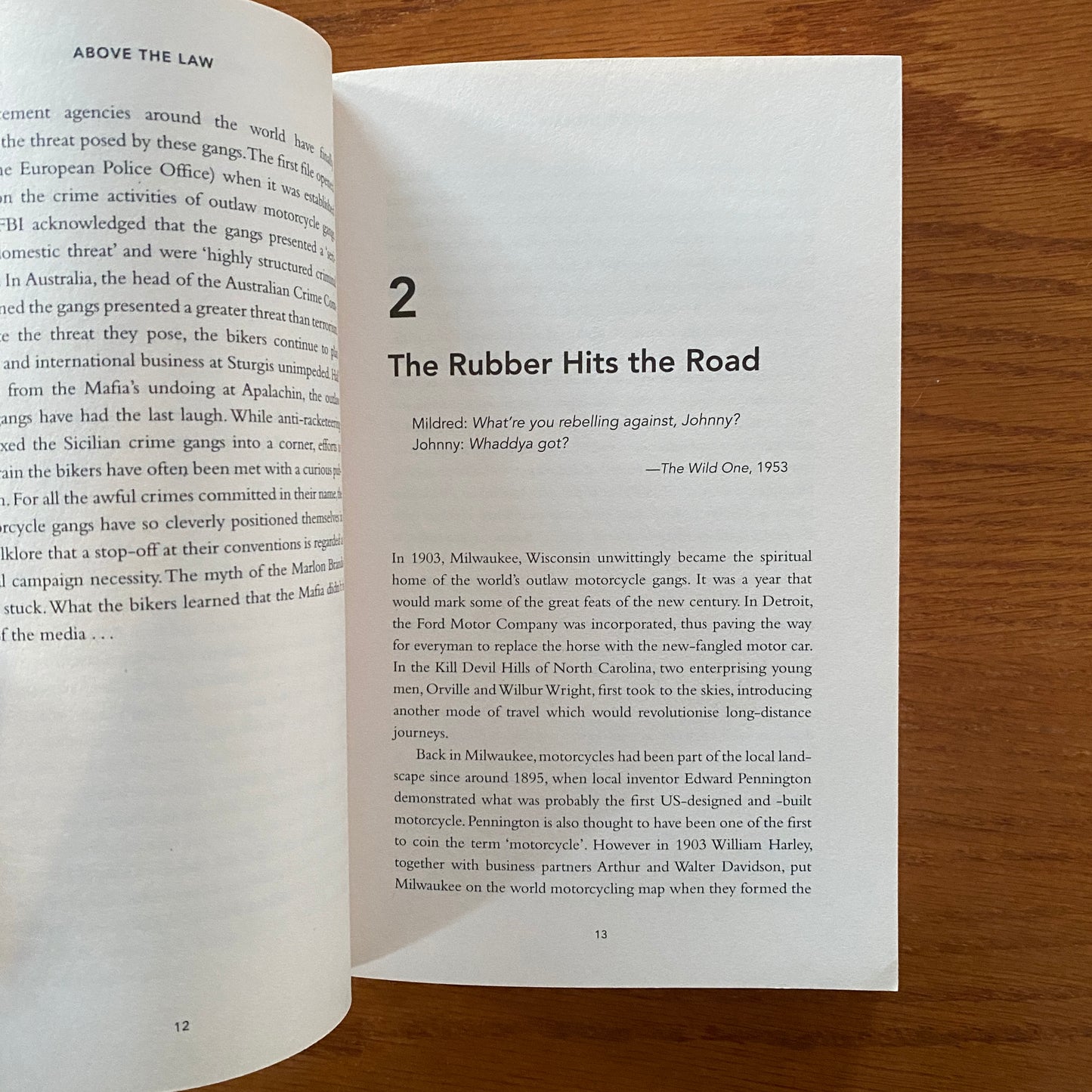 Above The Law: How Outlaw Motorcycle Gangs Established The World's Biggest Criminal Empire - Ross Coulthart & Duncan McNab