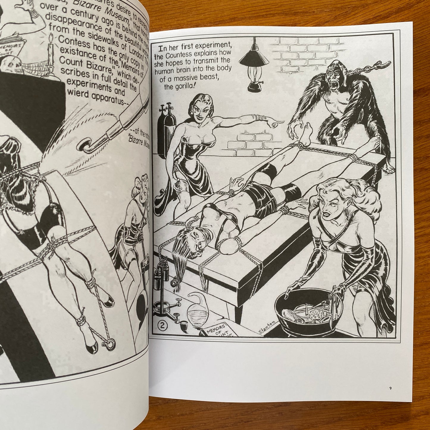 PSYCHO GIRLS IN BONDAGE 1: An Anthology of Classic Fetish Art and Fiction - Stephen Pentacoste