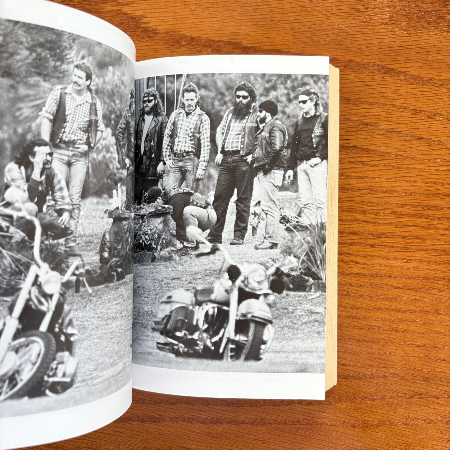 Brothers in Arms: The Inside Story of Two Bikie Gangs -  Lindsay Simpson & Sandra Harvey