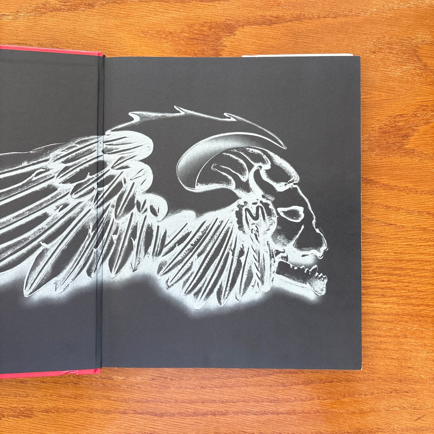 Hells Angels Motorcycle Club - Andrew Shaylor